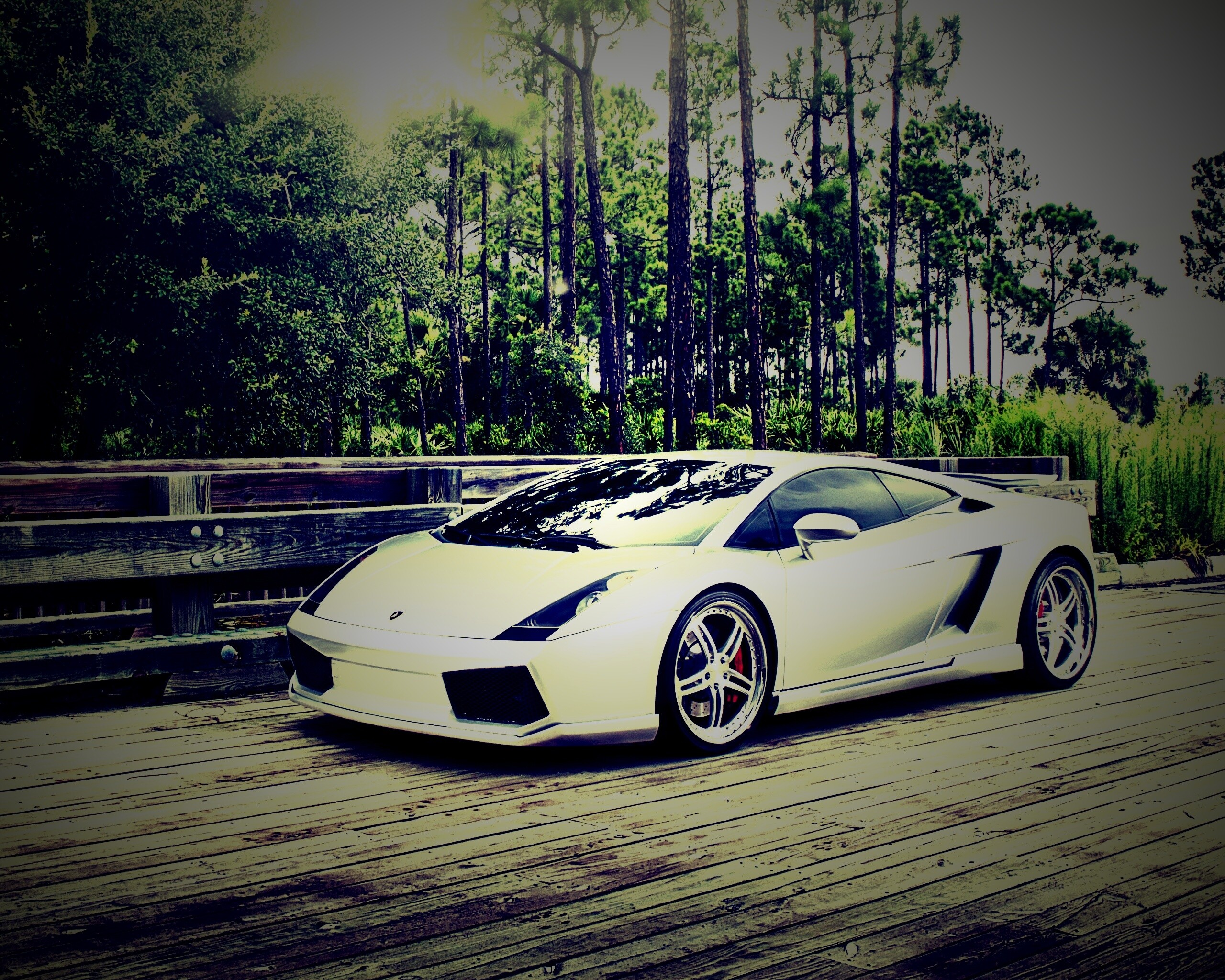 Ламбоджини на мосту в лесу обои