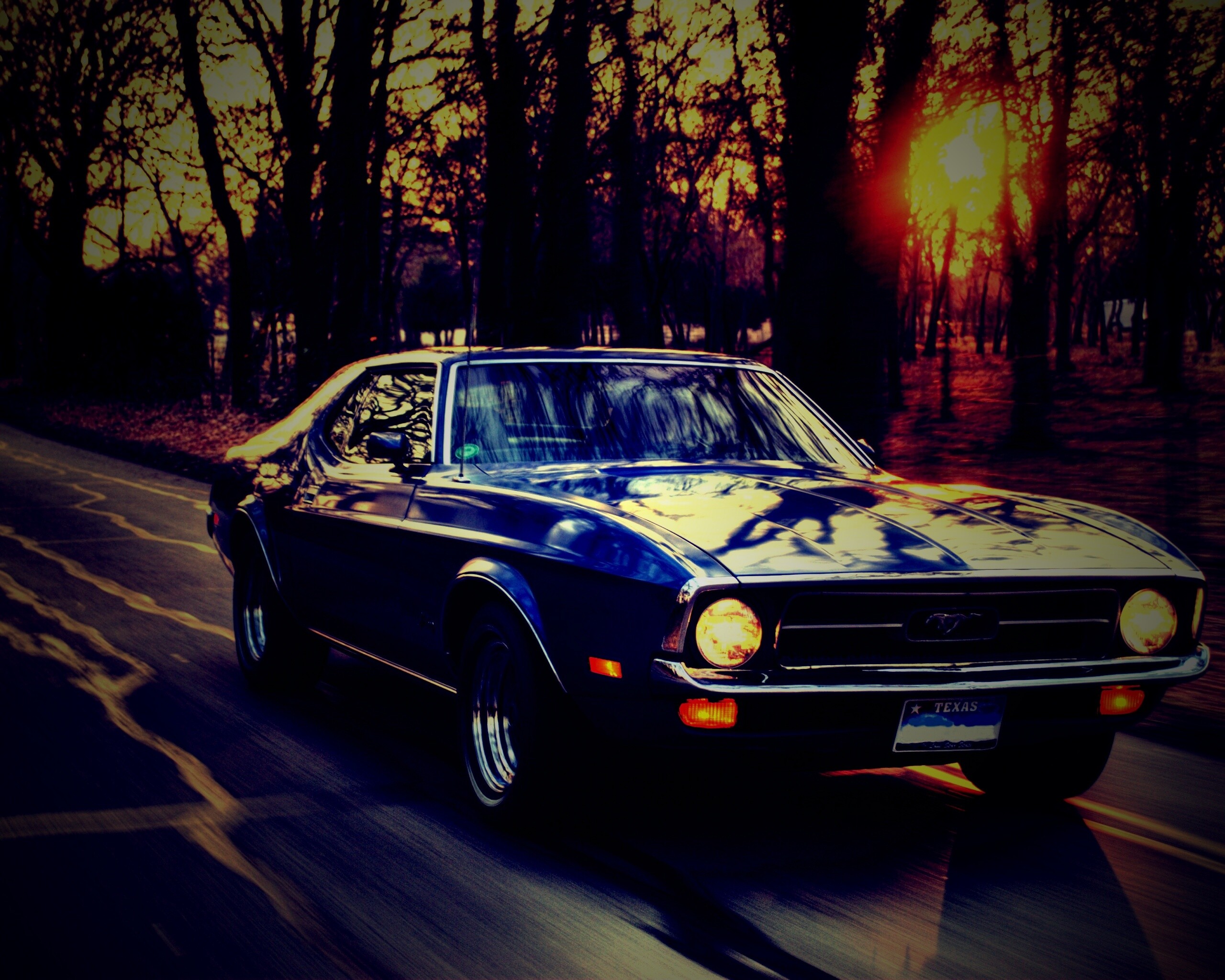 Мустанг обои