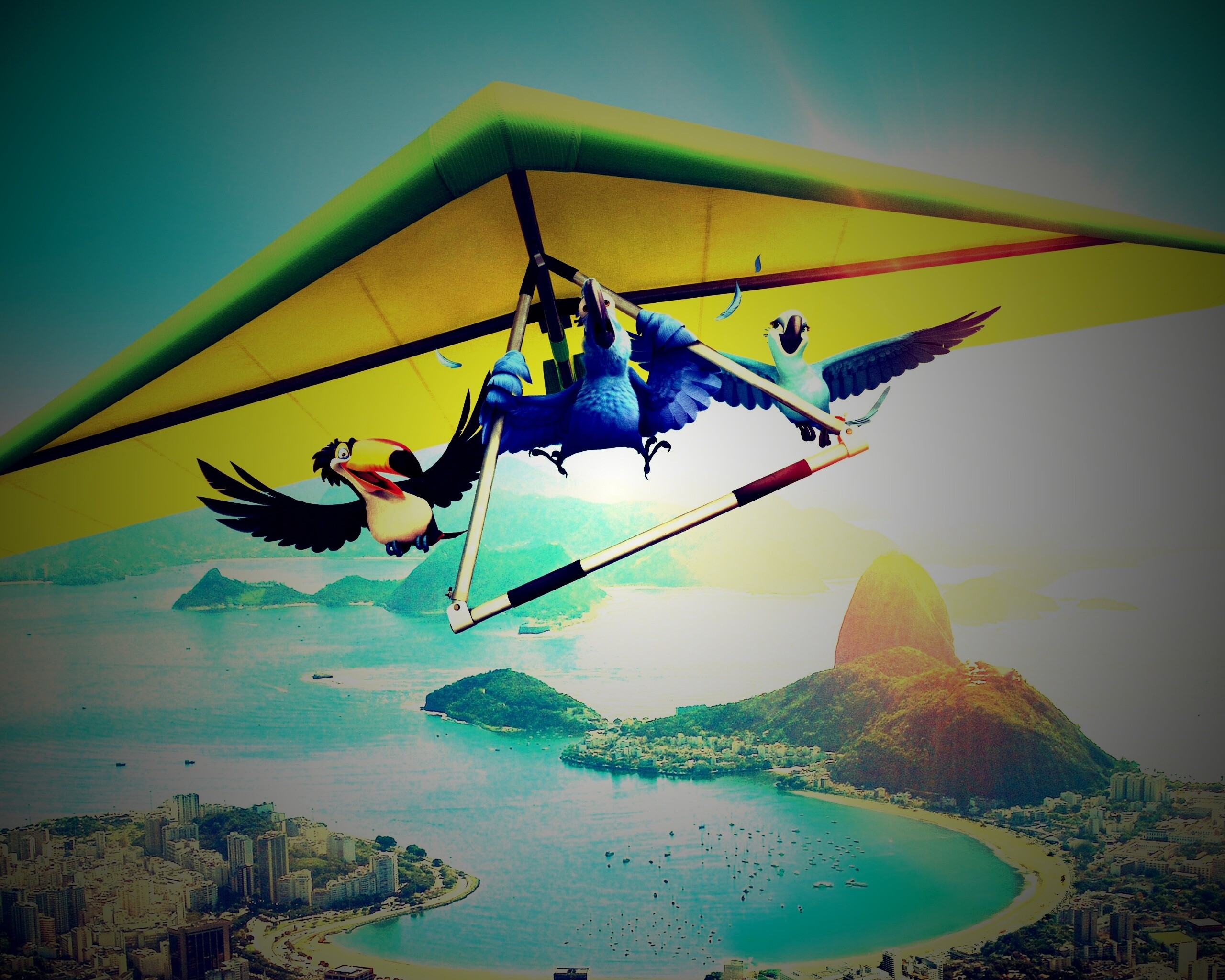 Герои мультфильма Рио обои