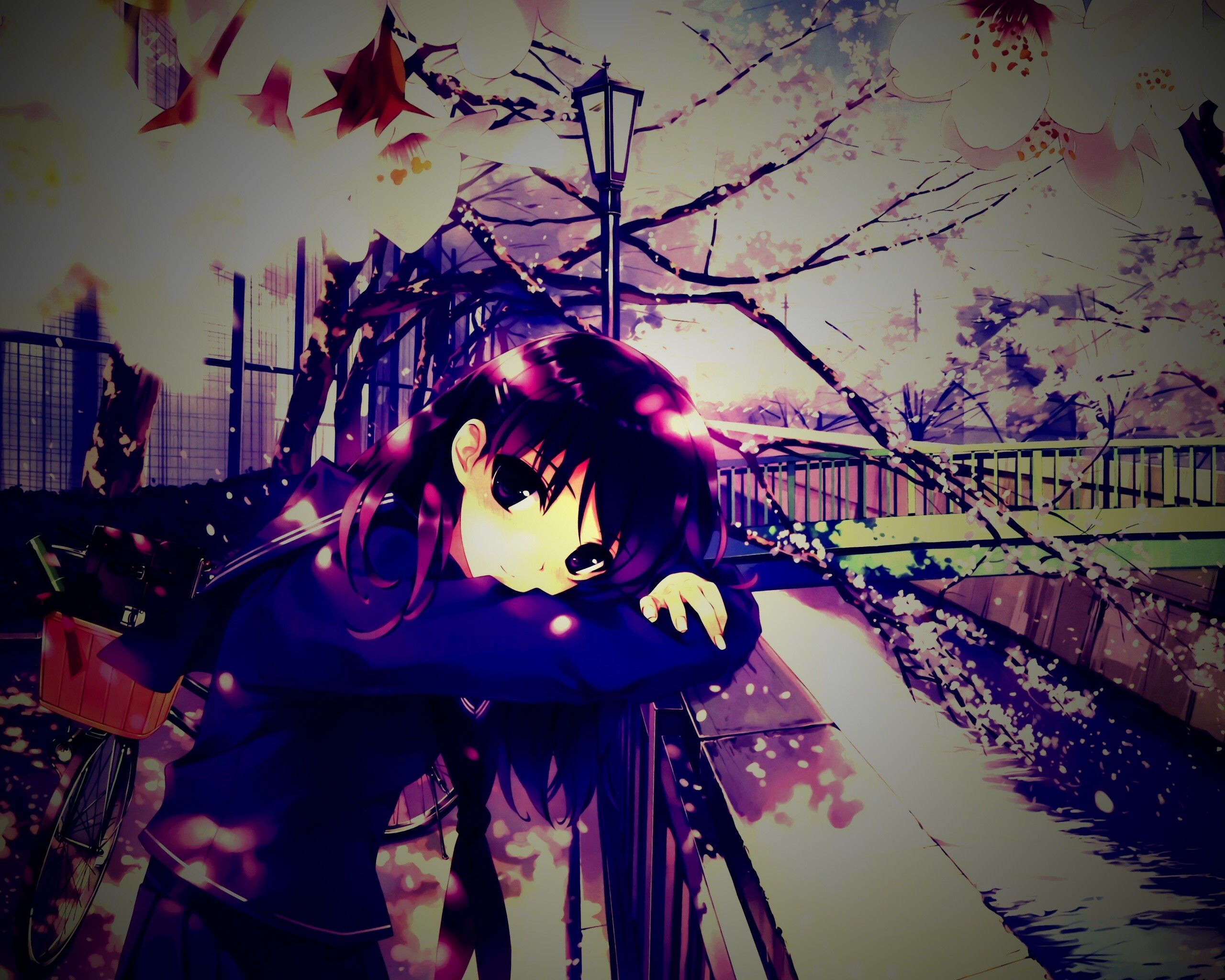 Девушка среди лепестков сакуры обои