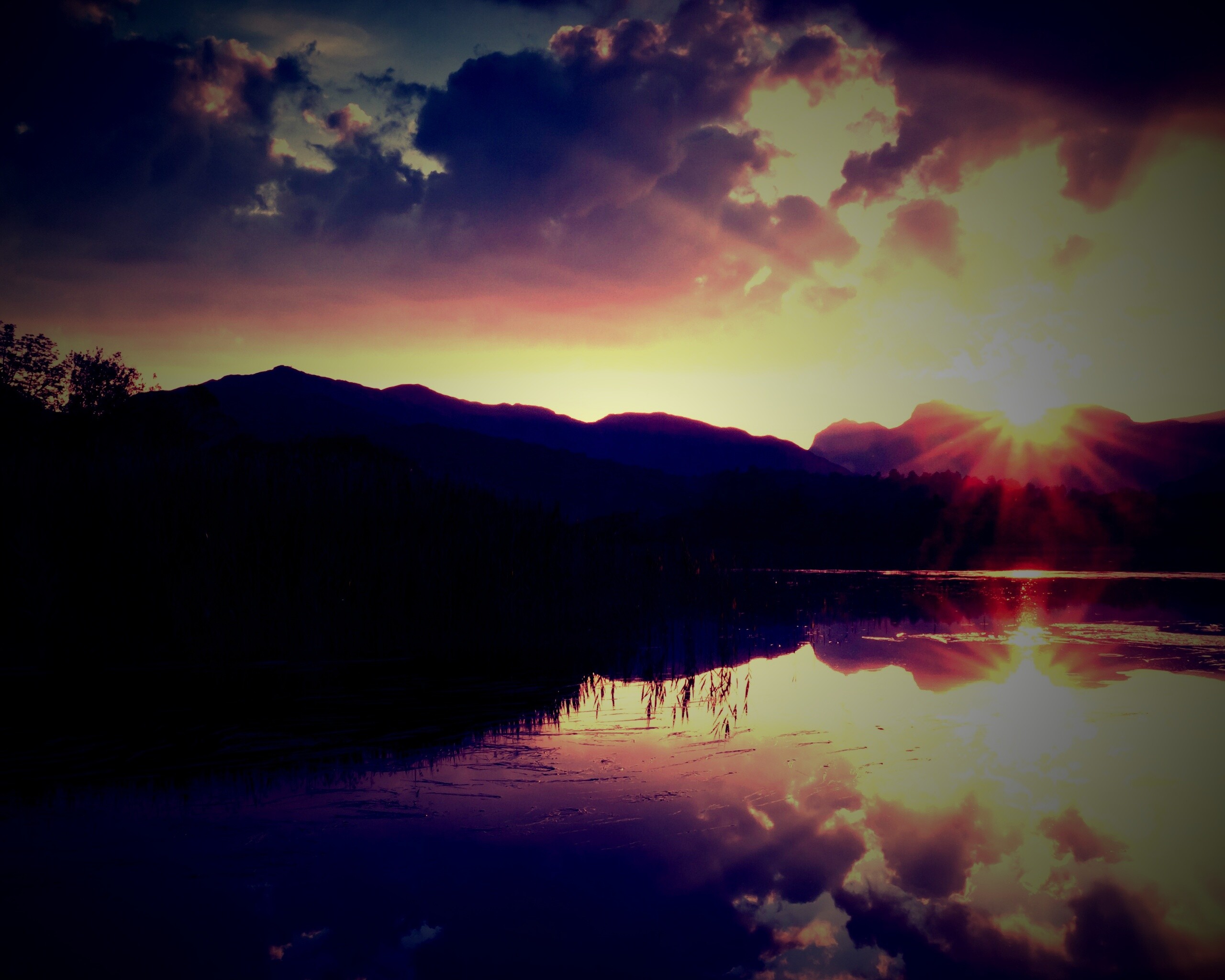 Закат за лесом обои