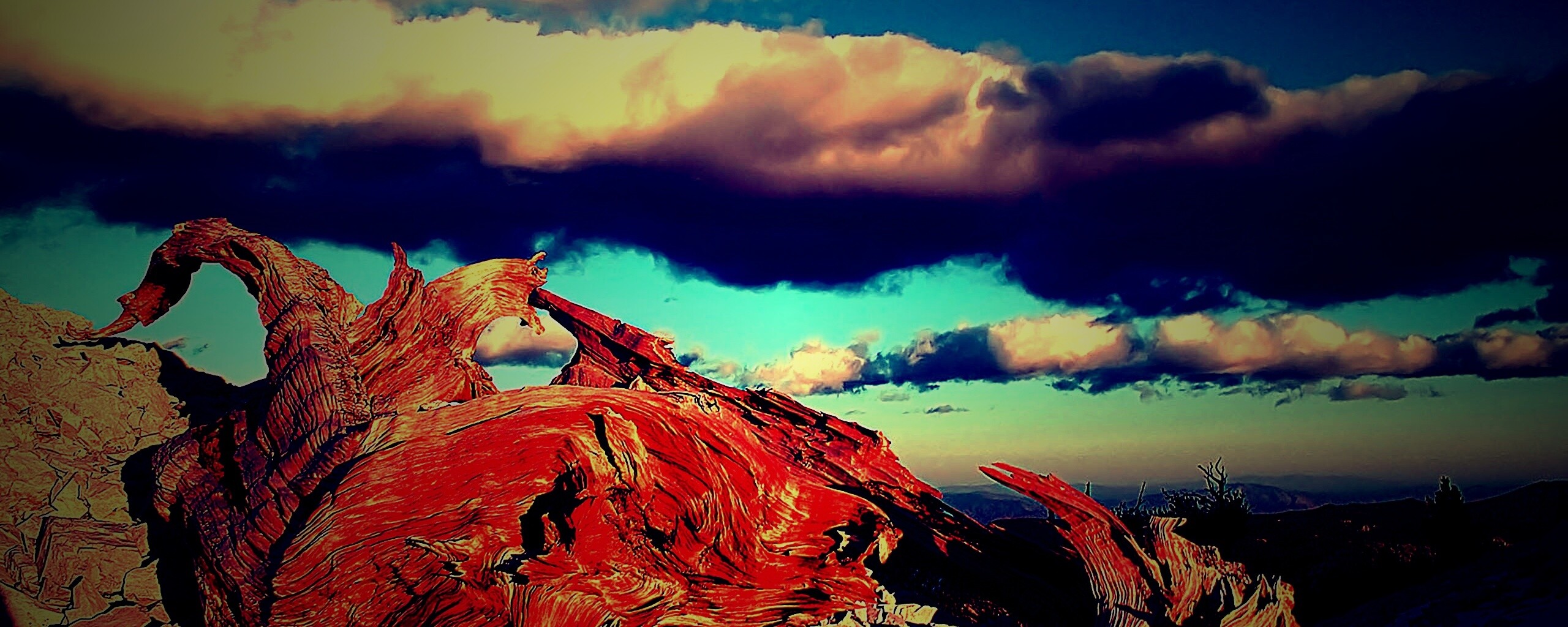 Прелести природы обои