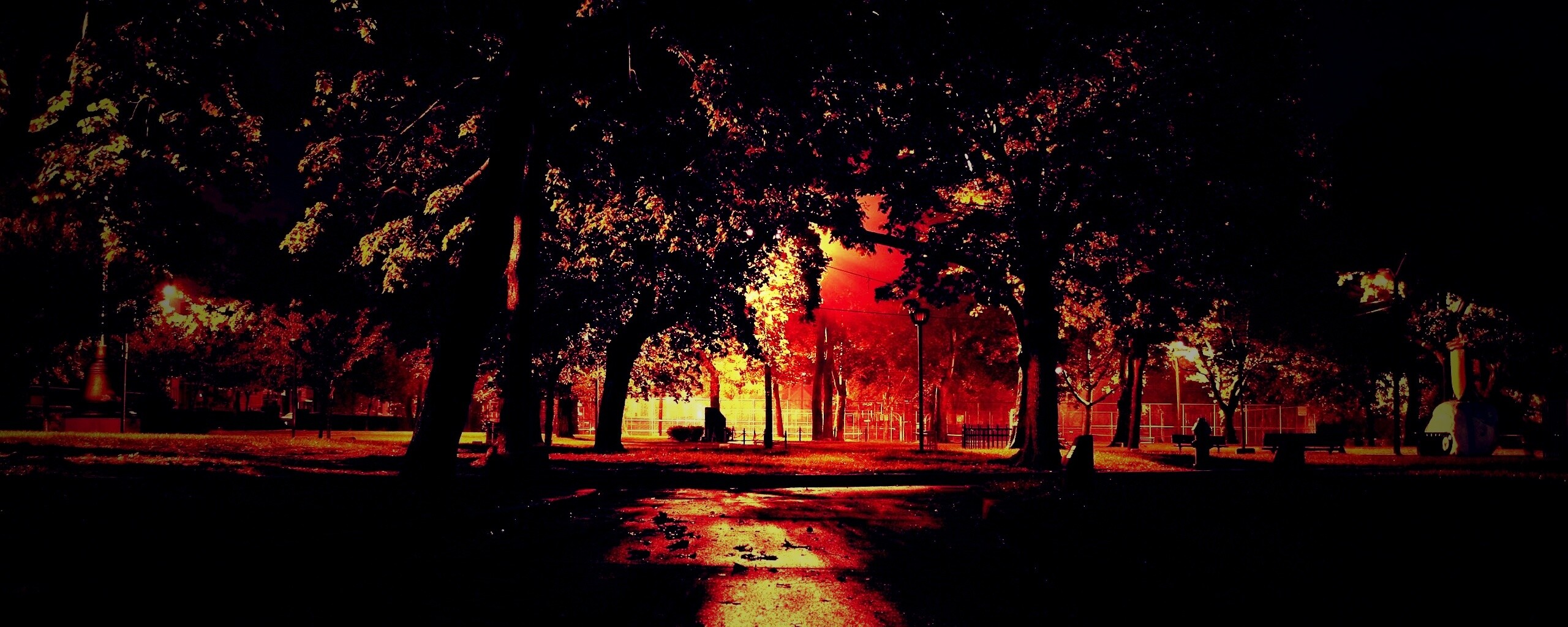 Ночной парк обои