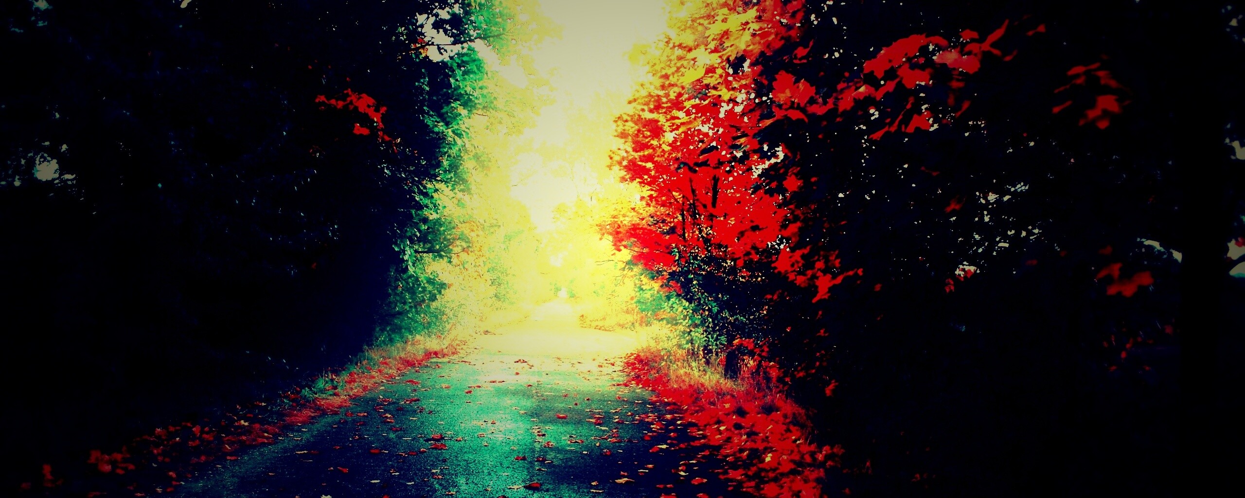 Желтая дорога обои