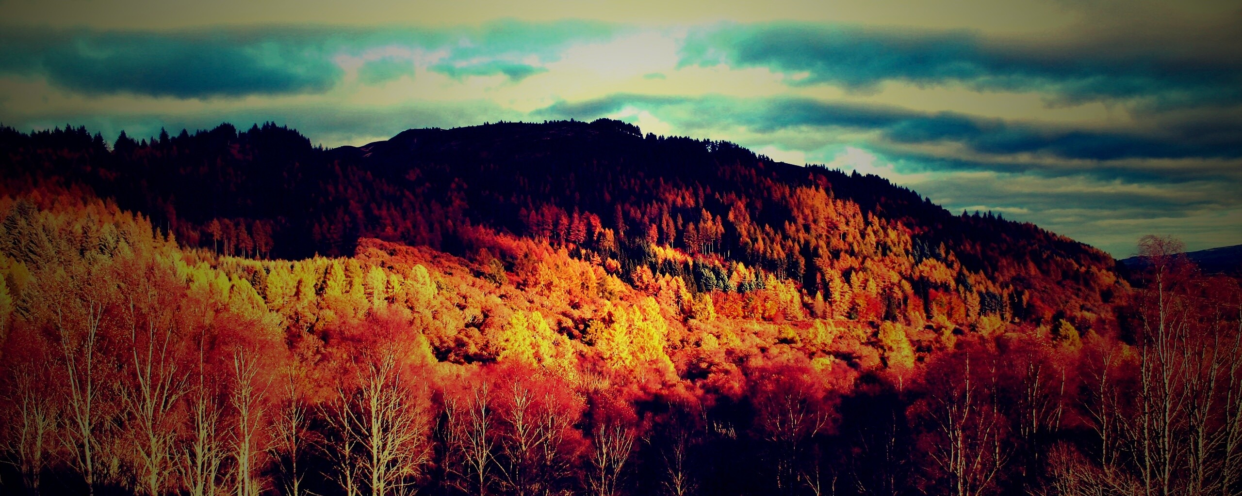 Золотая осень обои