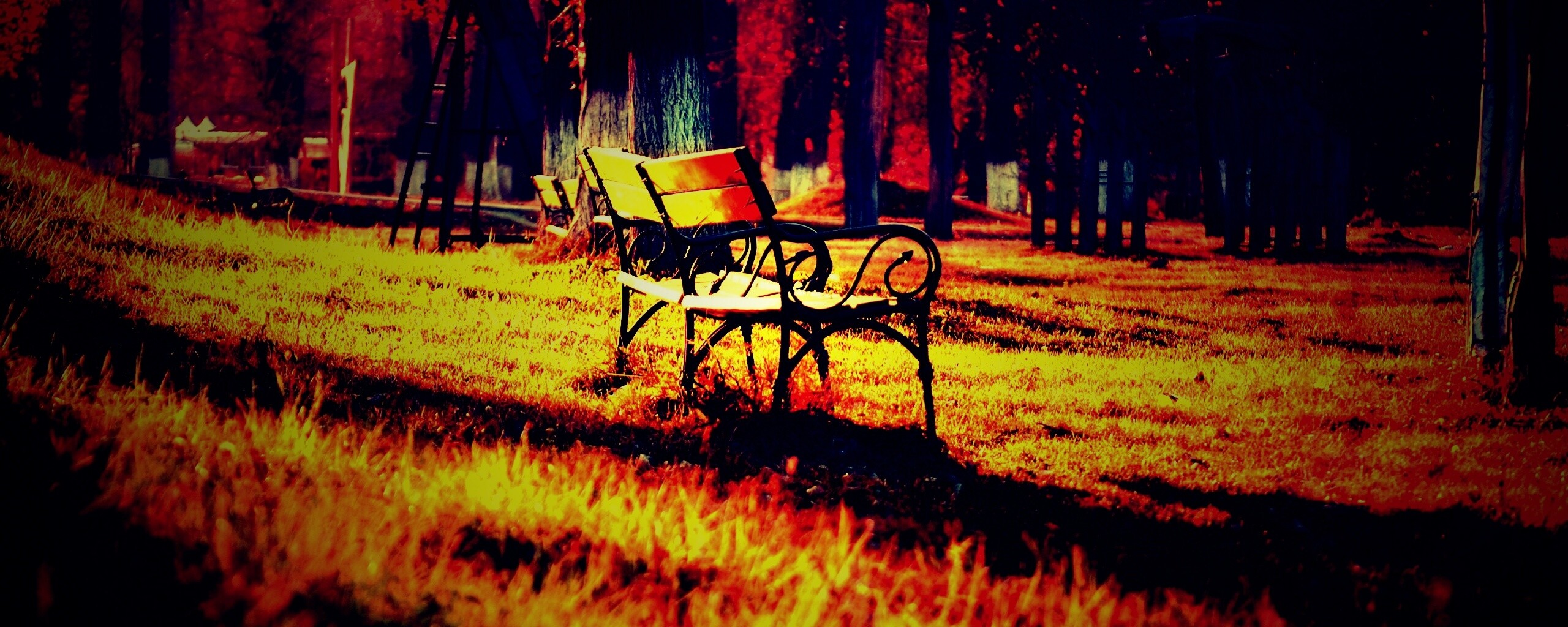 Скаймейка в осеннем парке обои