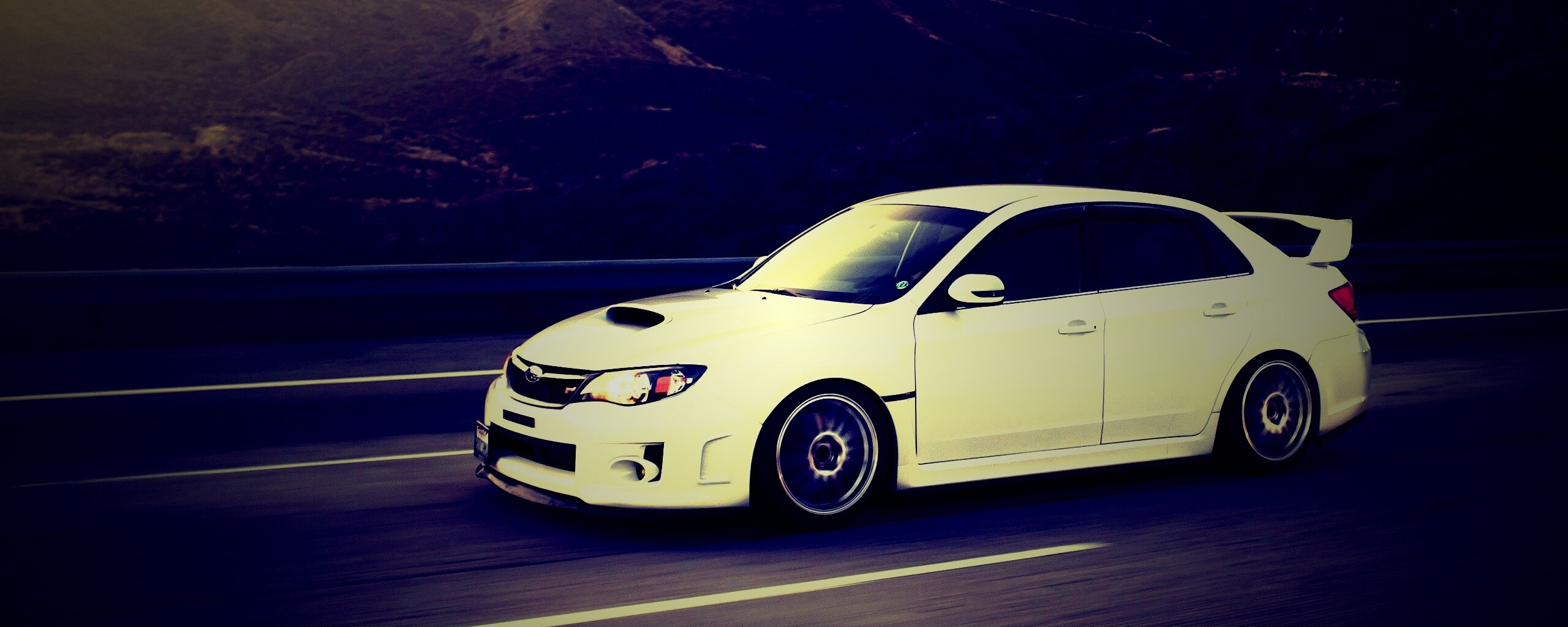 Белый субарь на тарссе обои