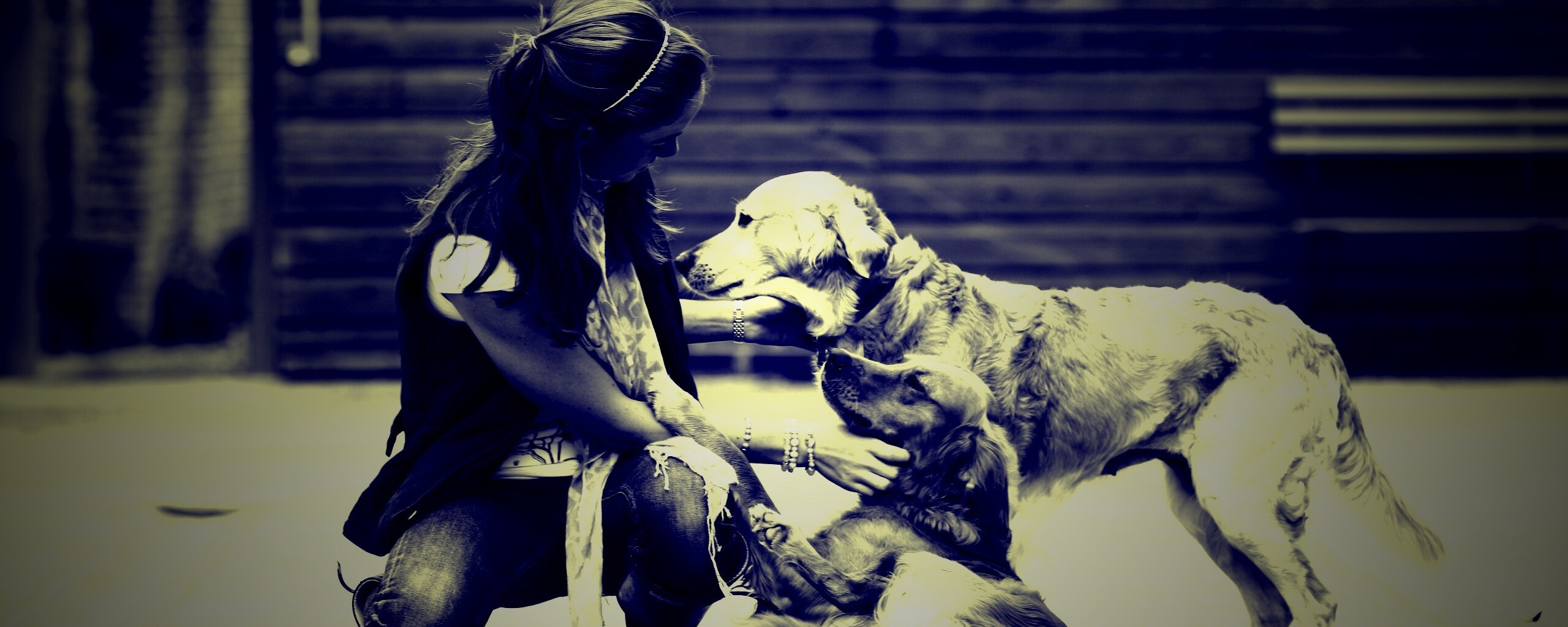 Девушка с собаками обои