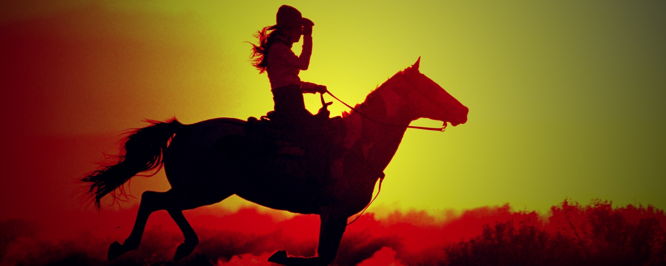 Наездница на закате обои