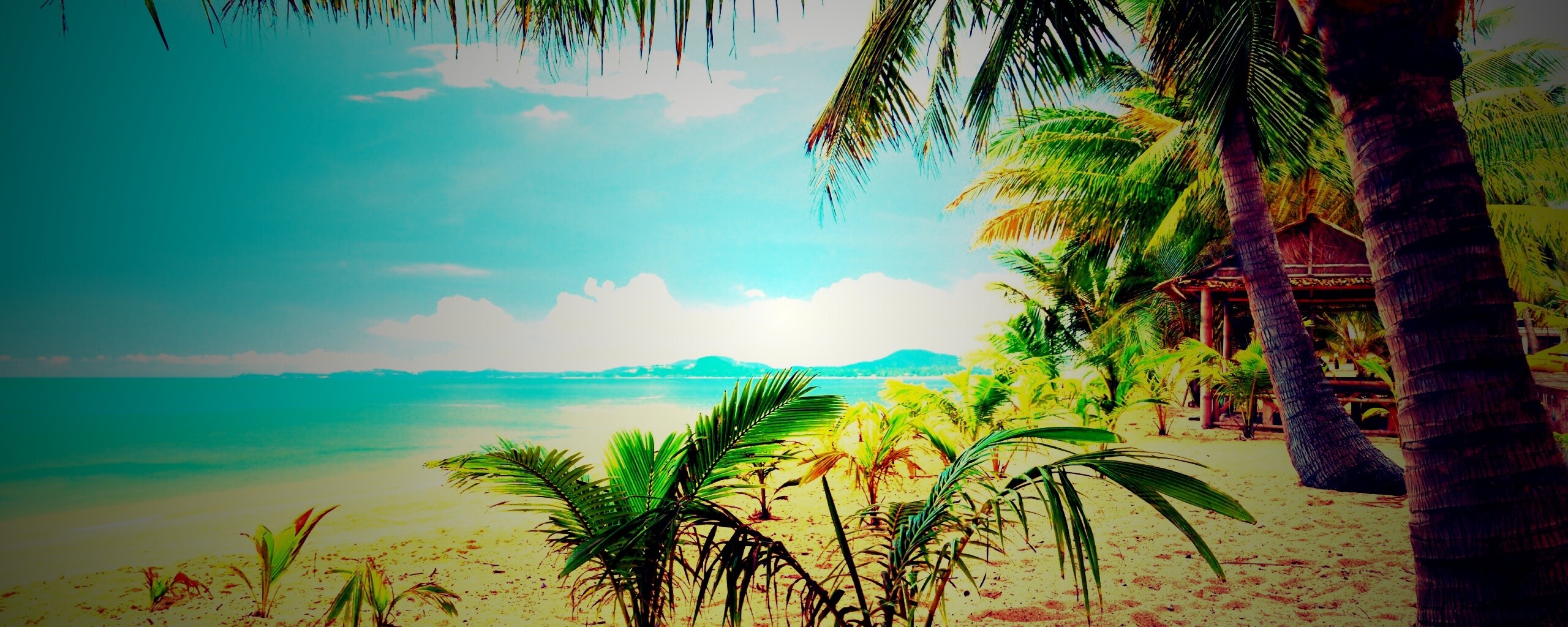 Настоящее лето обои