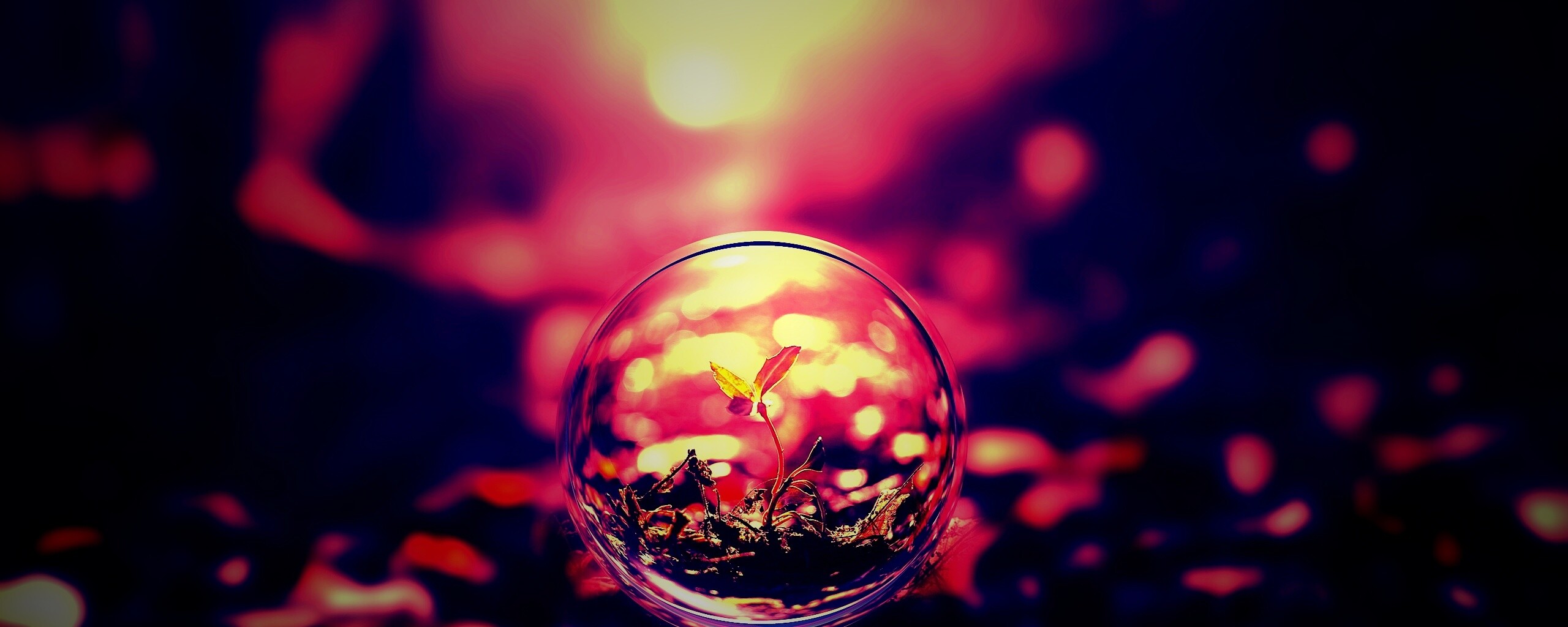 Росток в пузыре обои