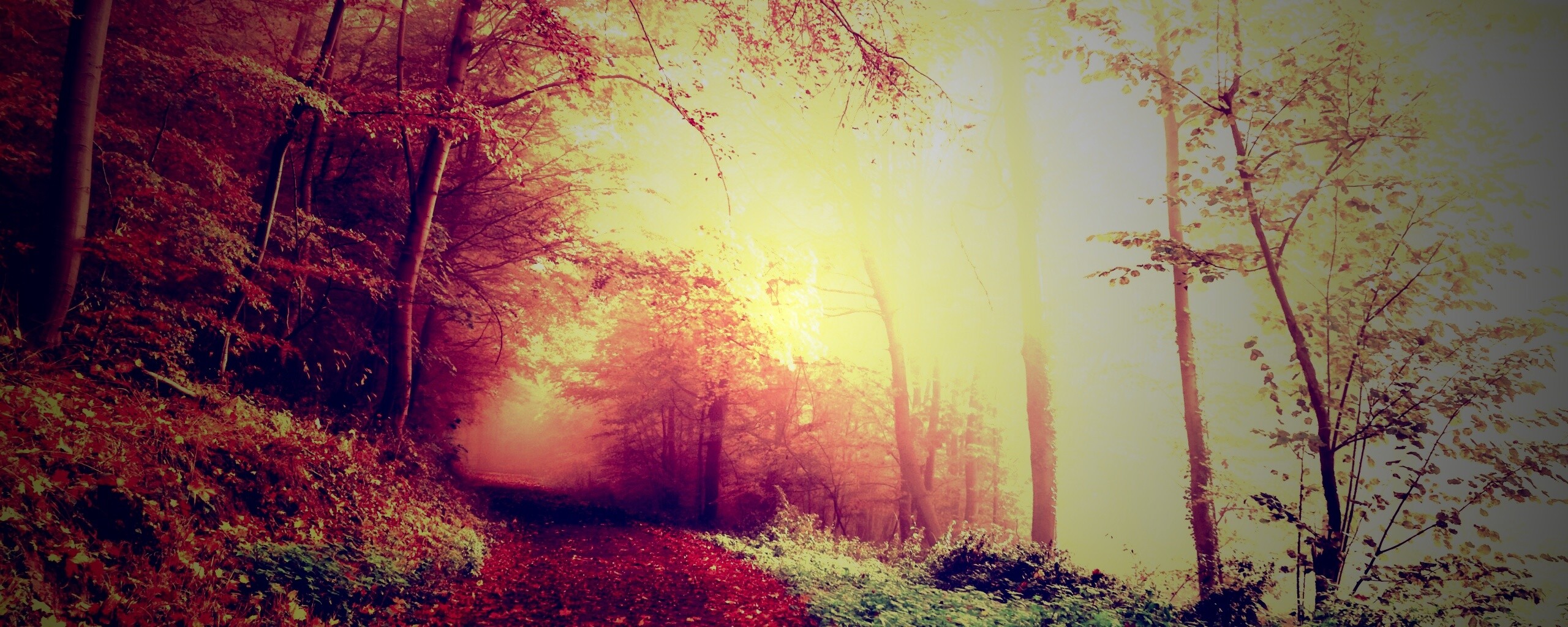 Осенний мистический пейзаж обои