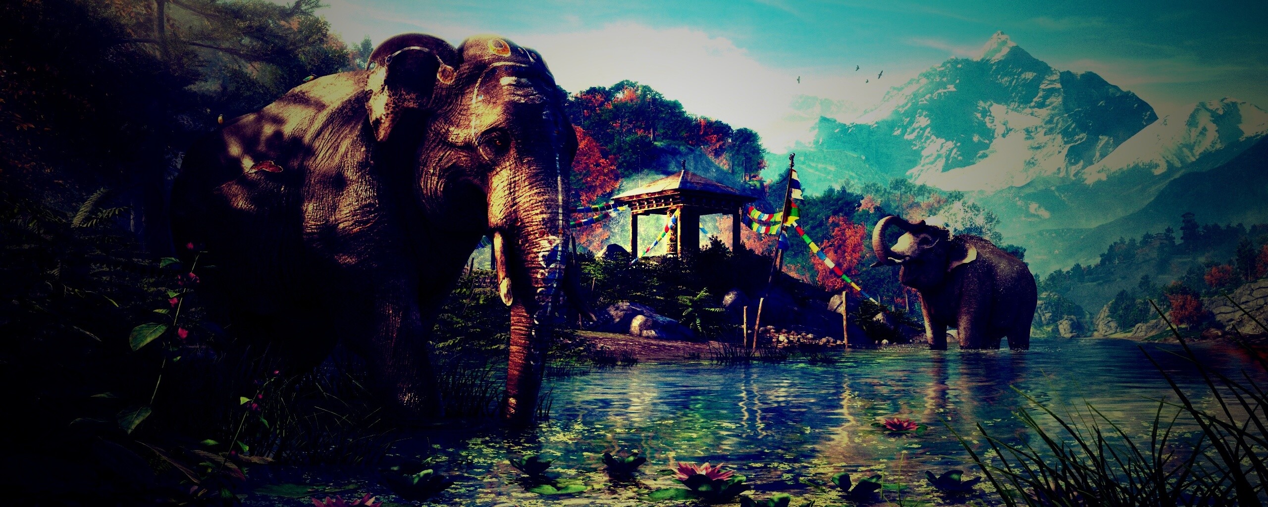 Слоники у воды обои