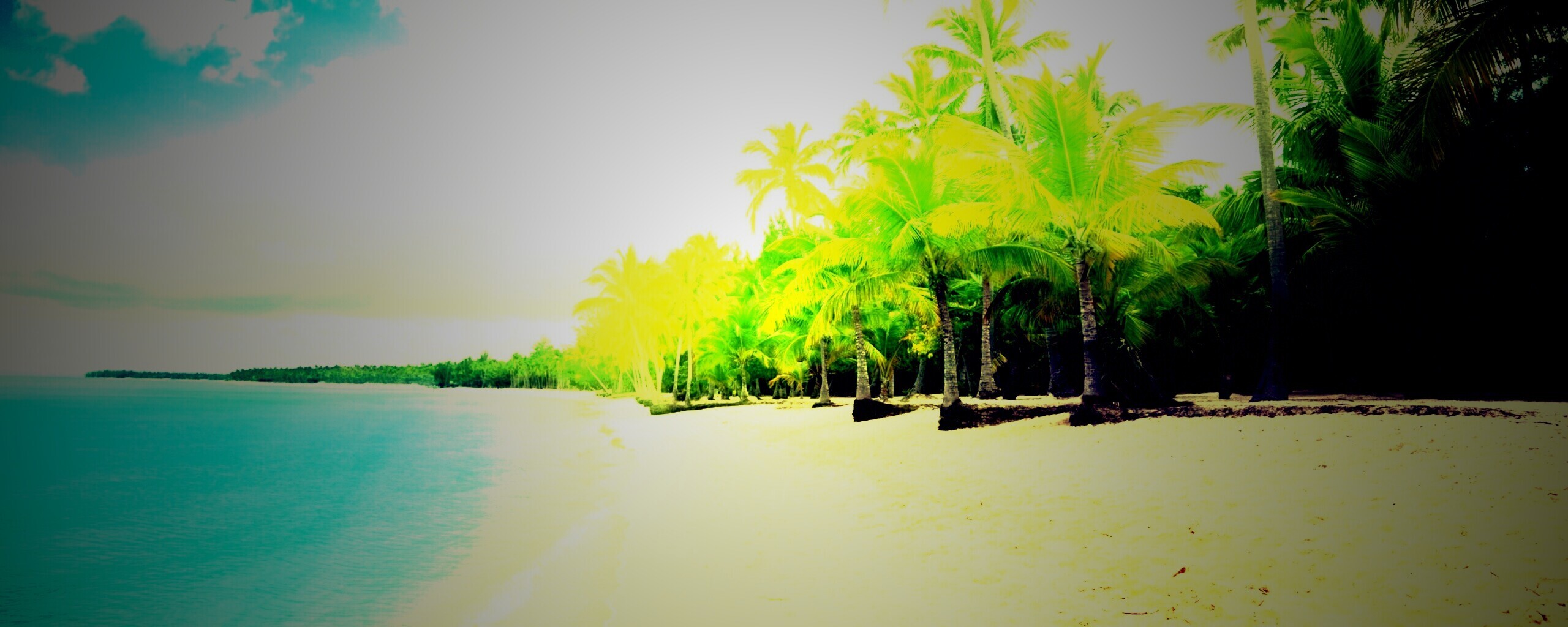 Тропическое побережье обои