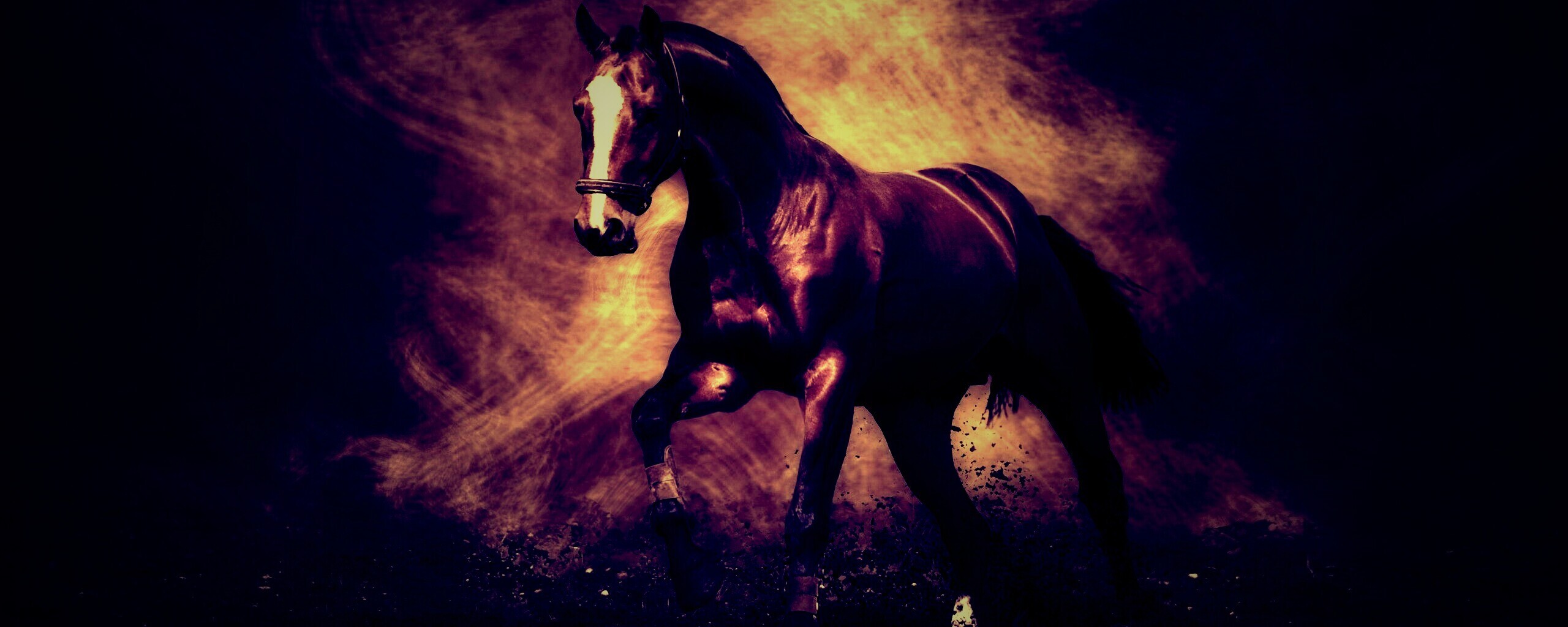 Лошадь обои