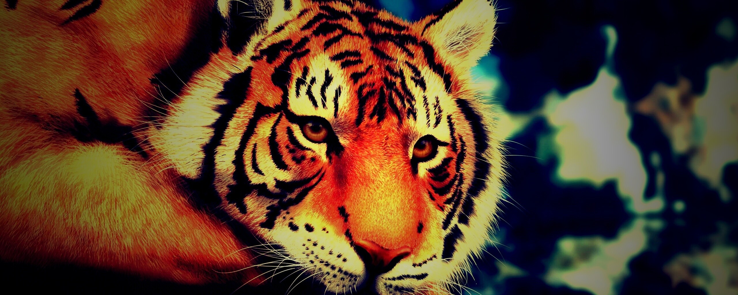 Грустный тигра обои