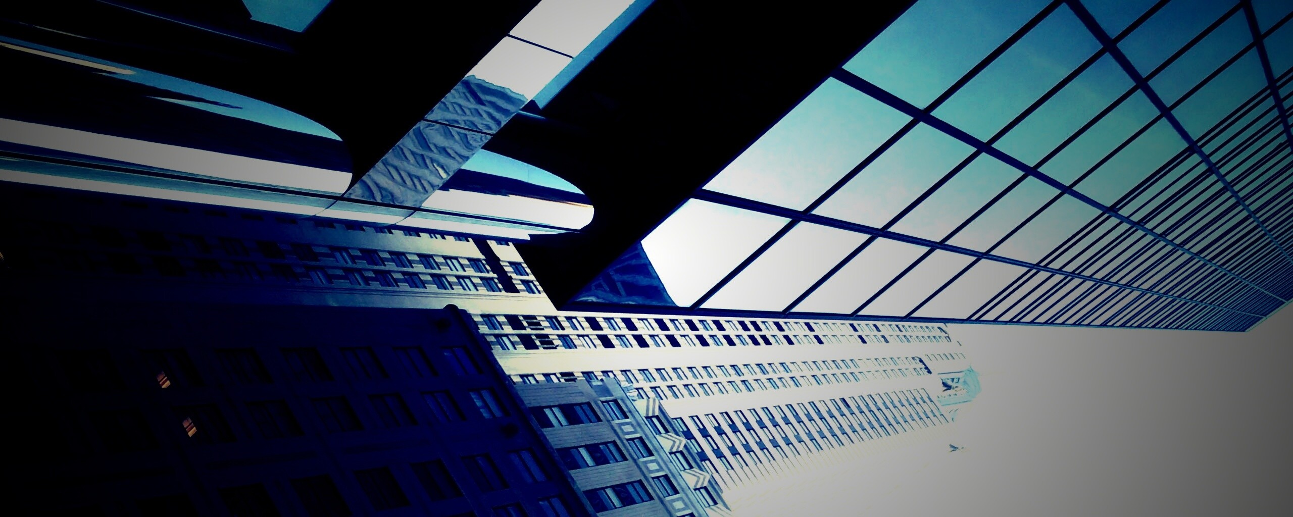 Взгляд вверх обои