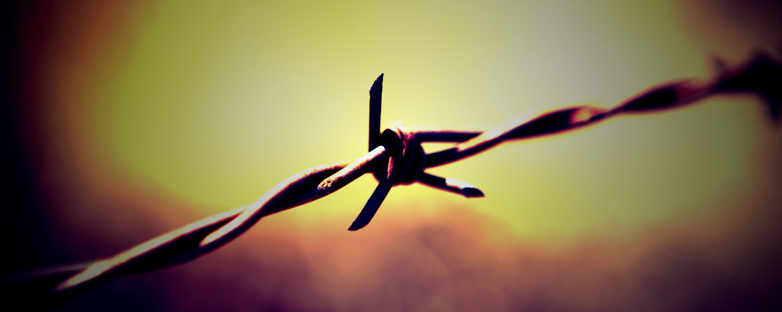 Фото колючей проволоки обои