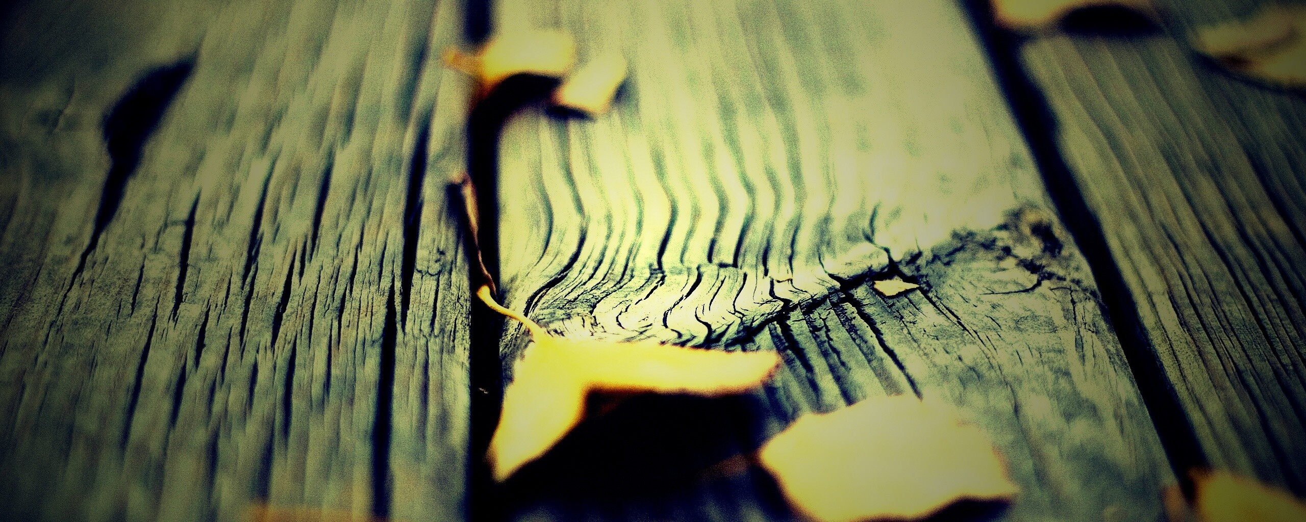 Листья на дощатом полу обои