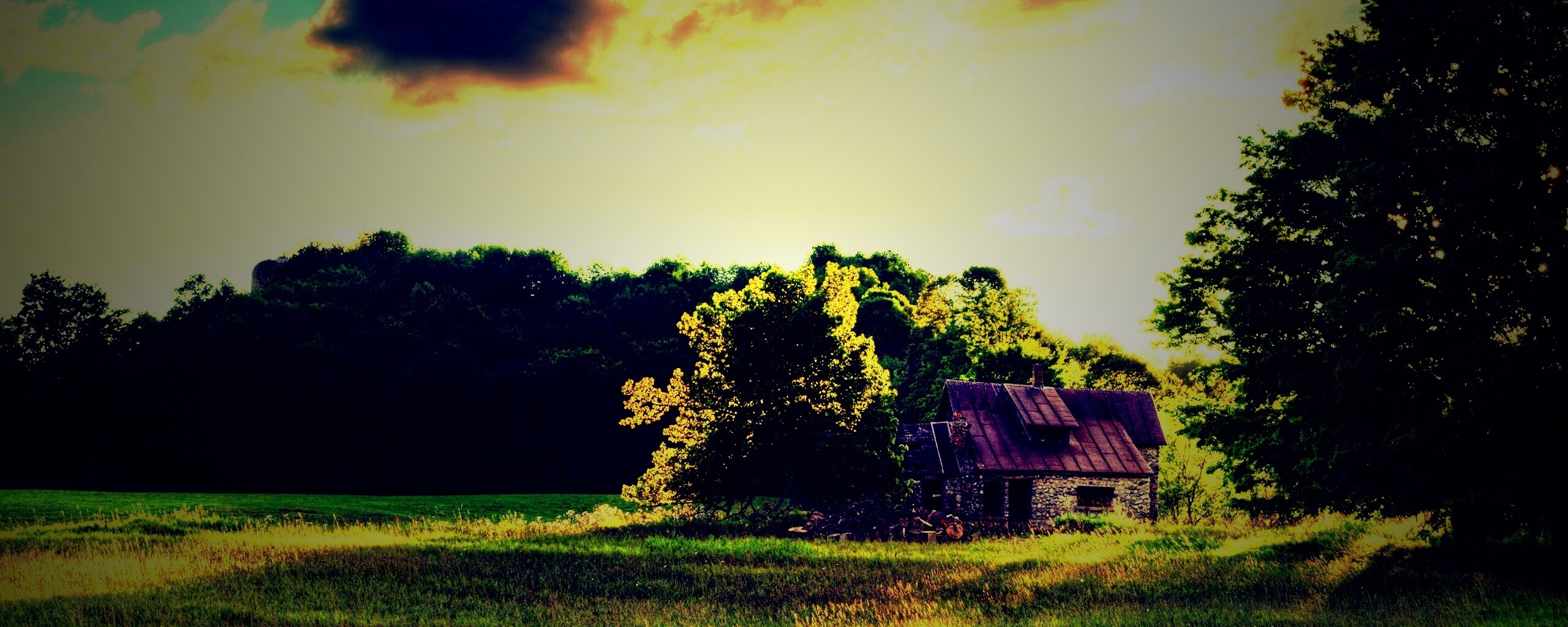 Домик в лесу обои