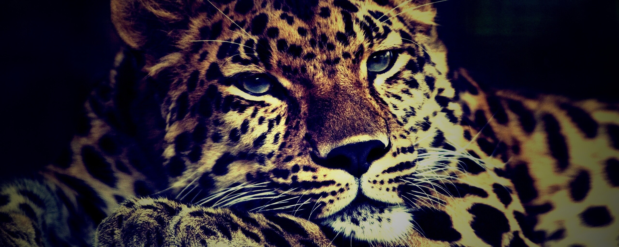 Злопасный ягуляр обои