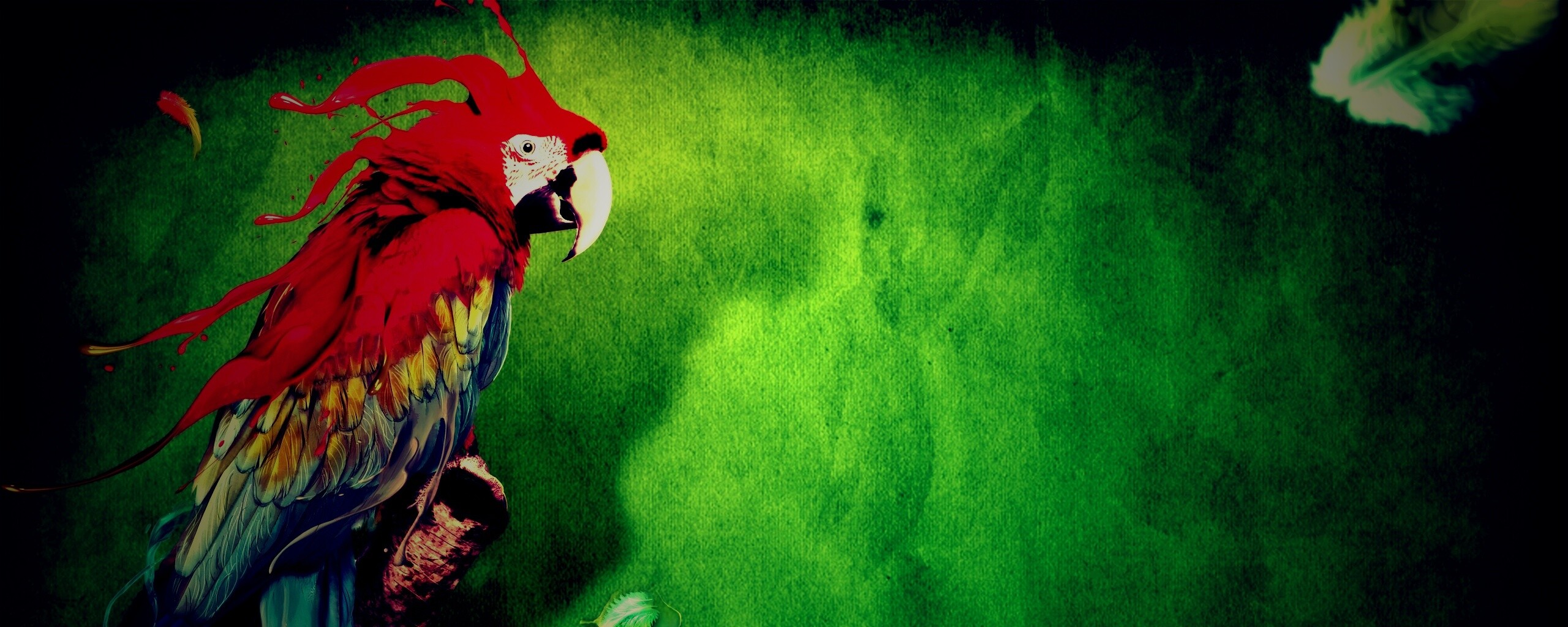 Попугай на ветке обои