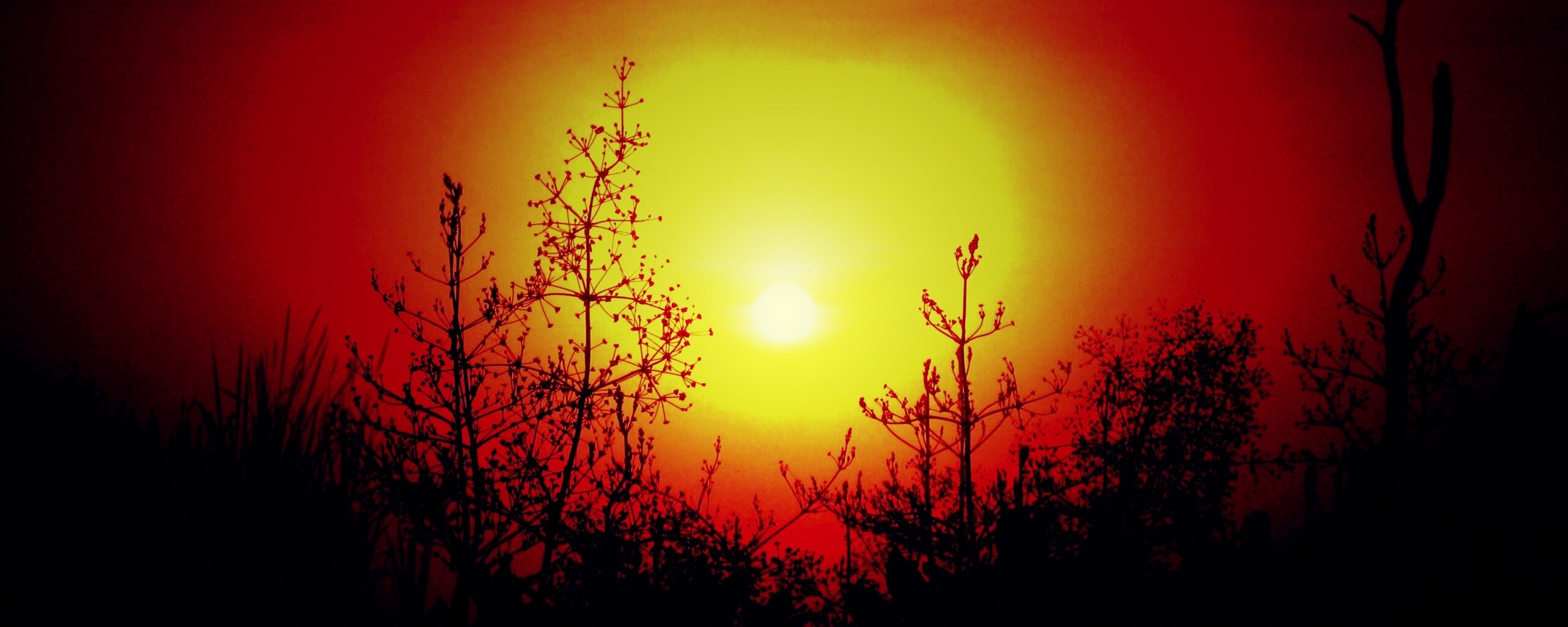 Доисторическое утро обои