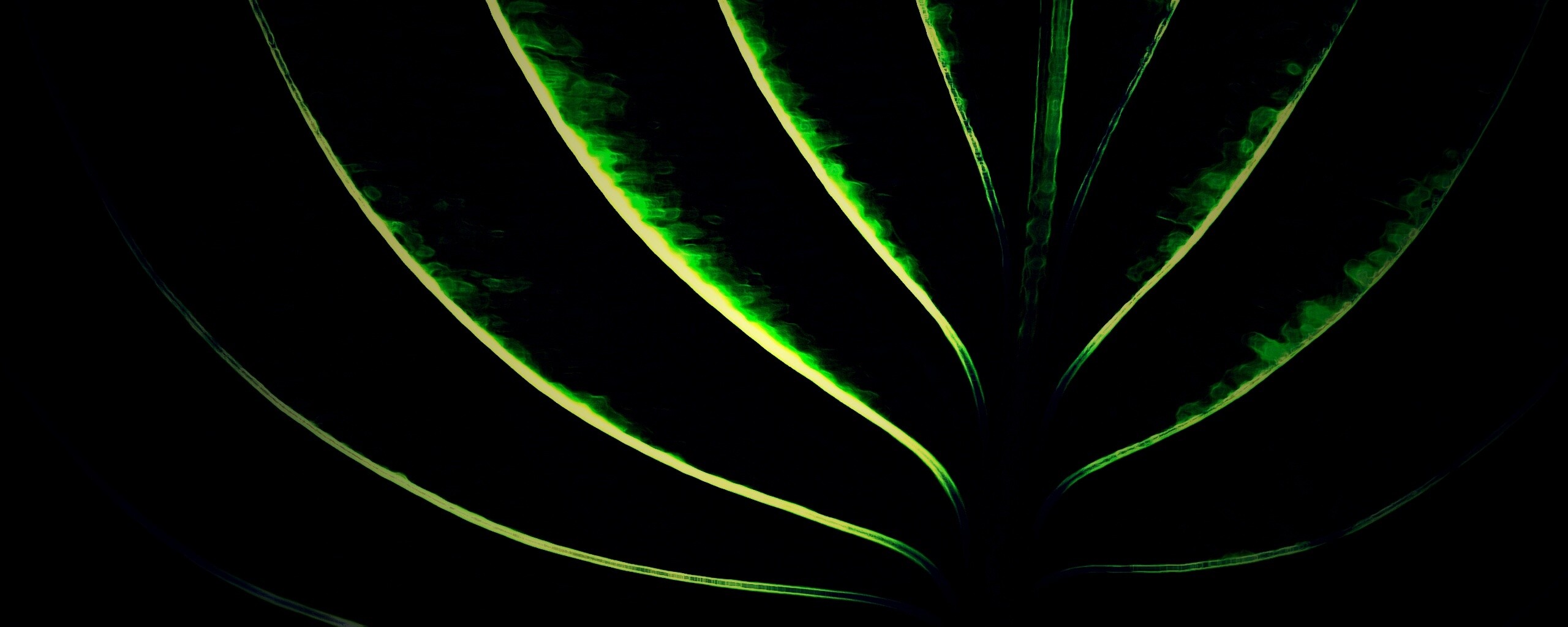 Неоновый лист обои