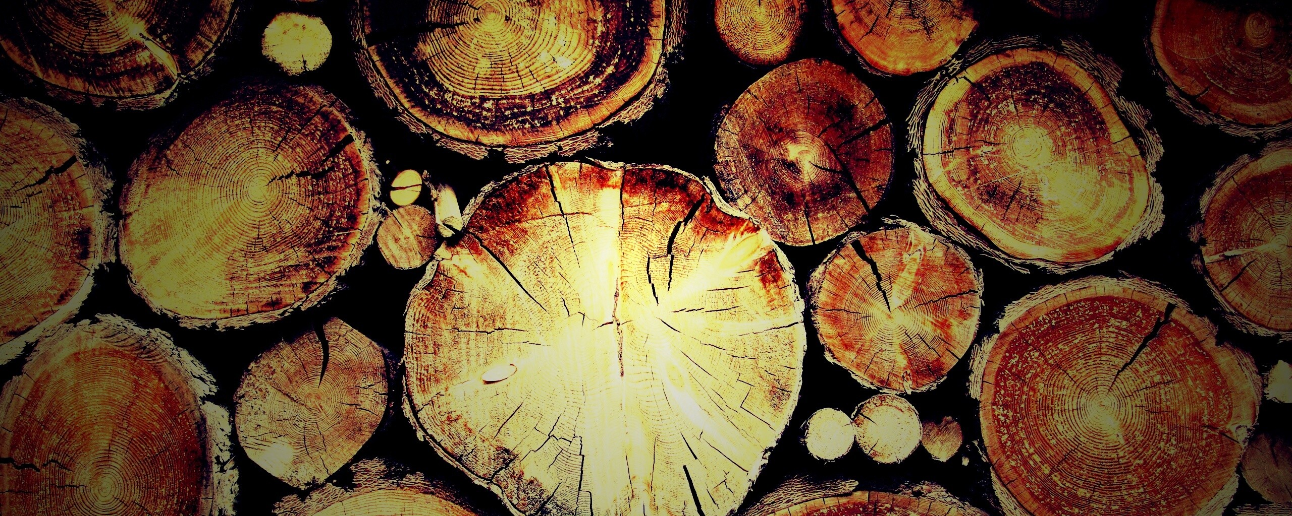 Древесный спил обои