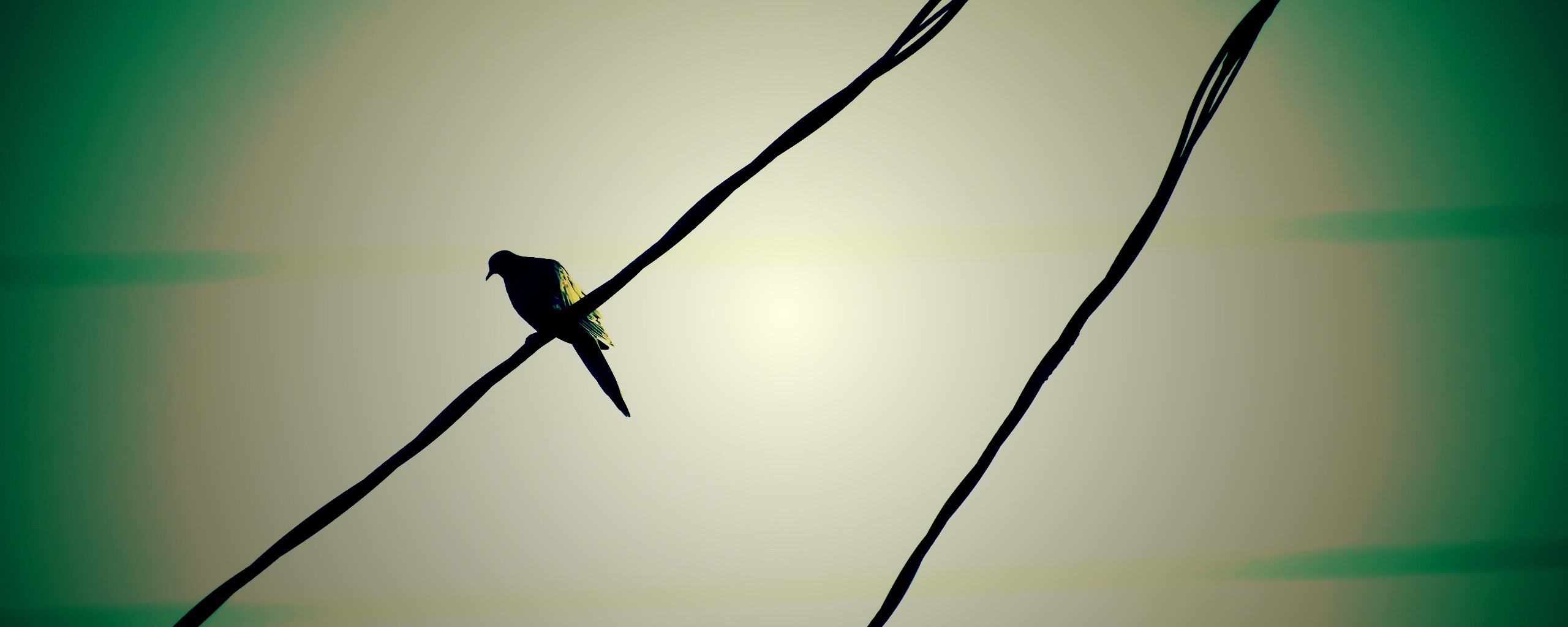 Птица на проводе обои