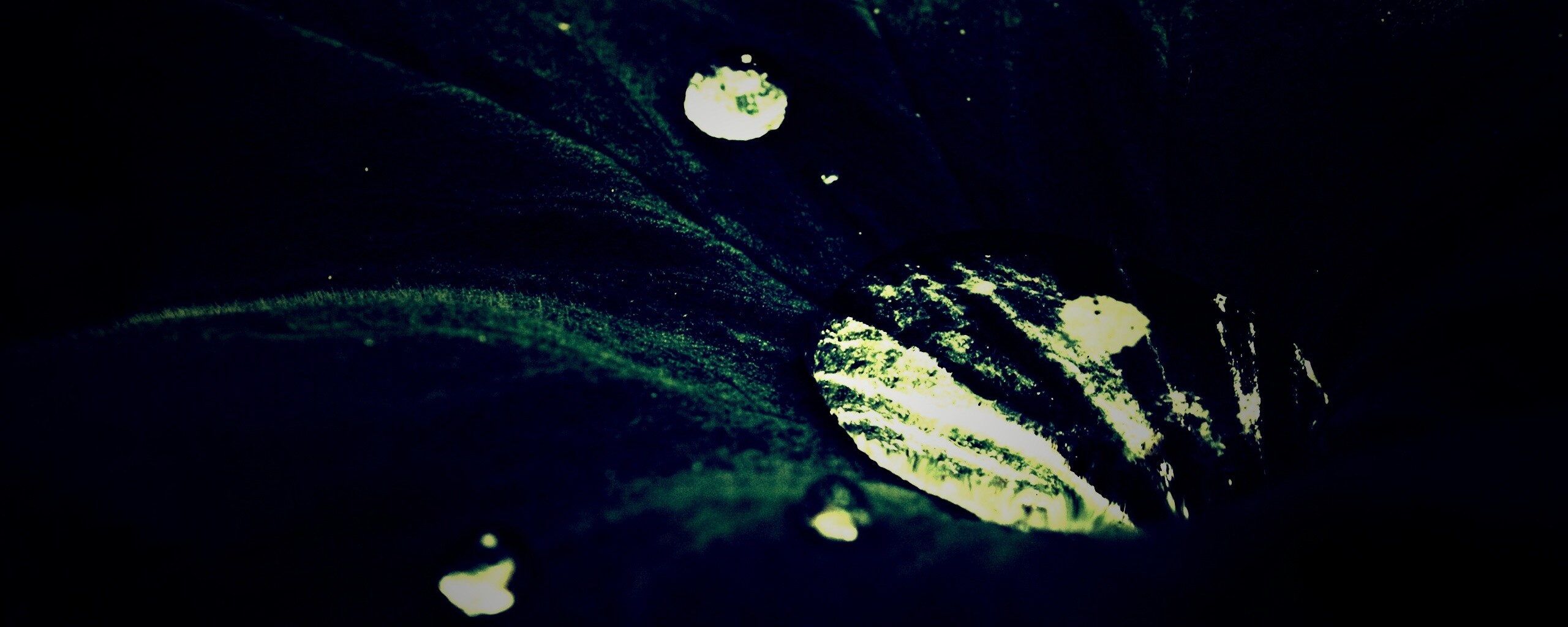 Капля в листе обои