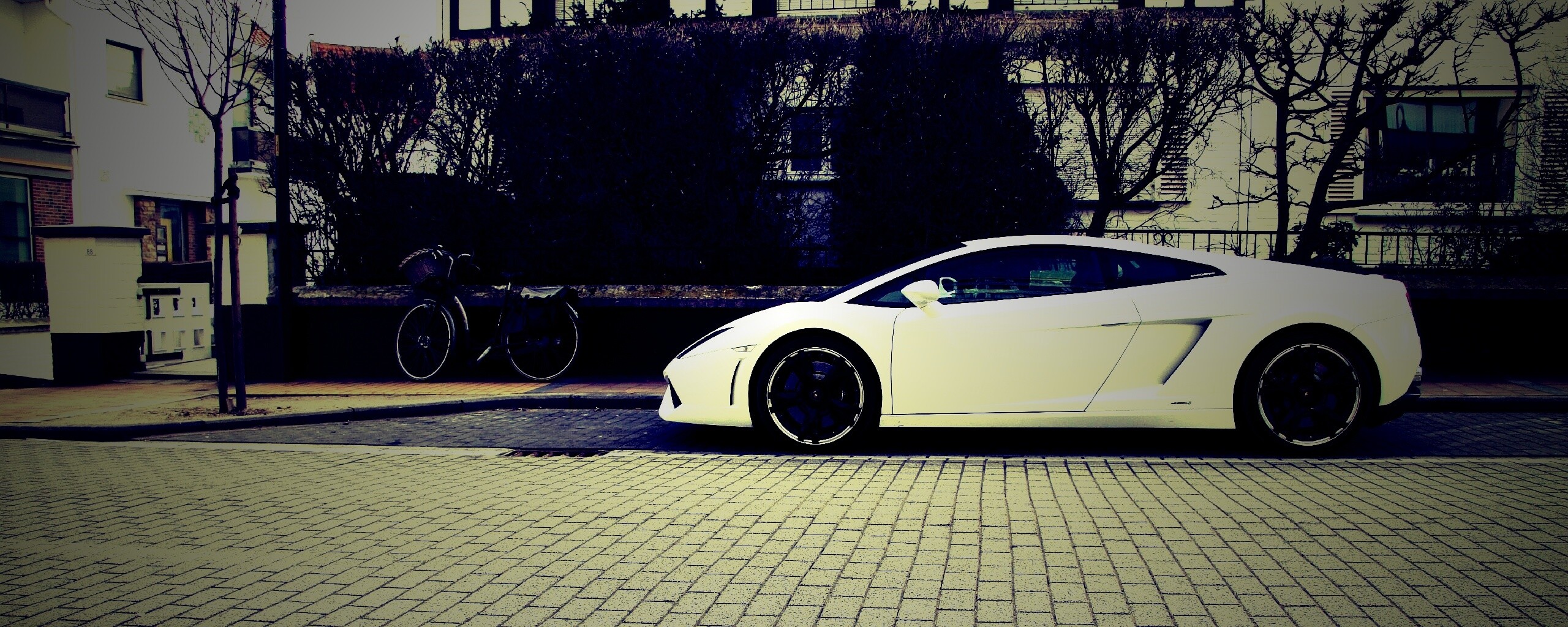 Белый Lamborghini обои