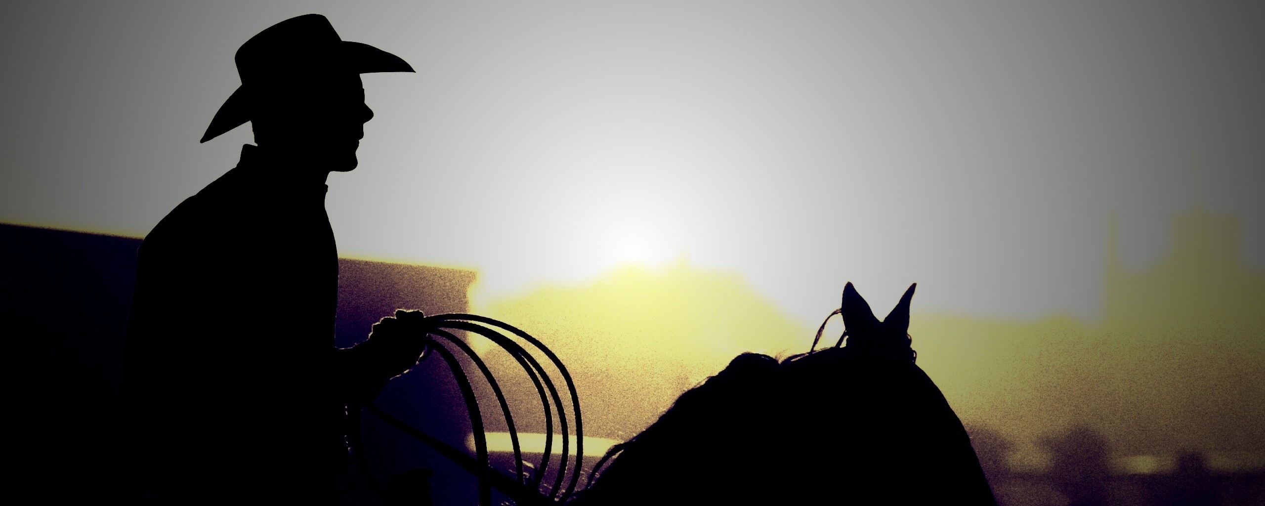 Ковбой с лассо на коне обои