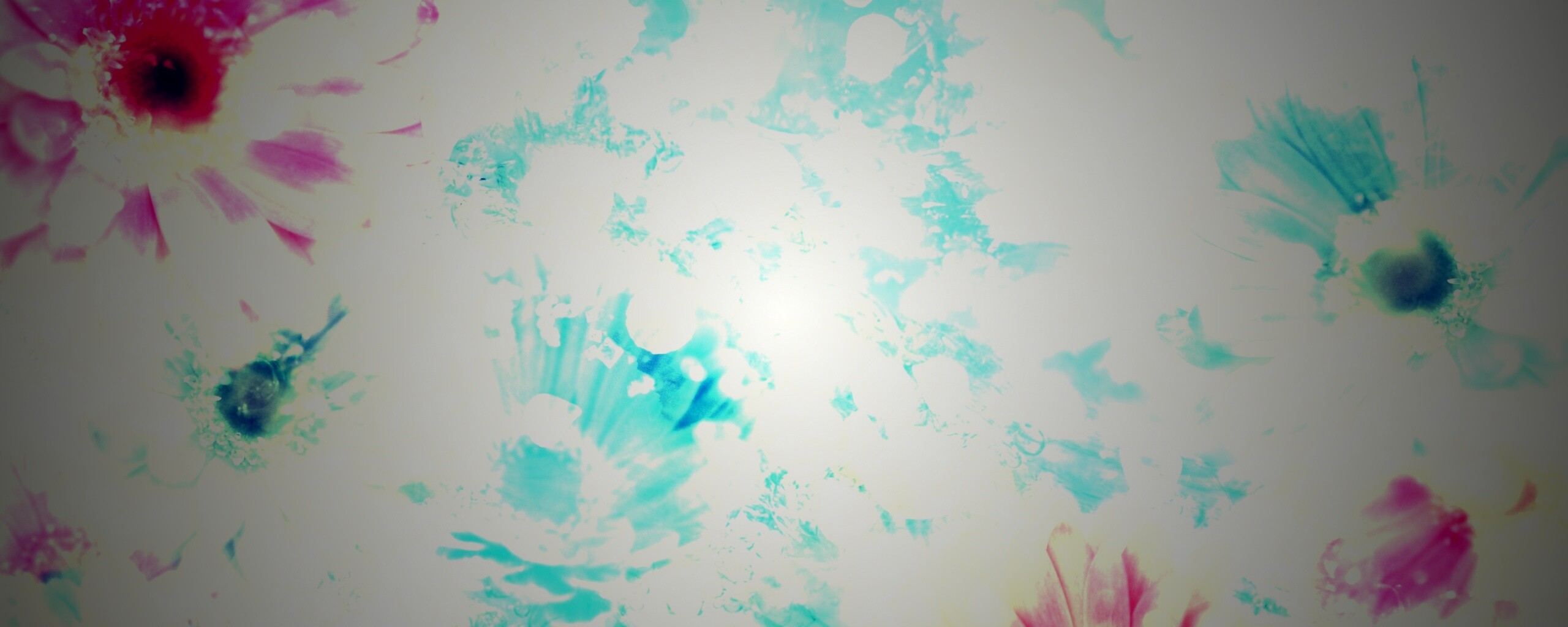 Цветочная эйфория обои