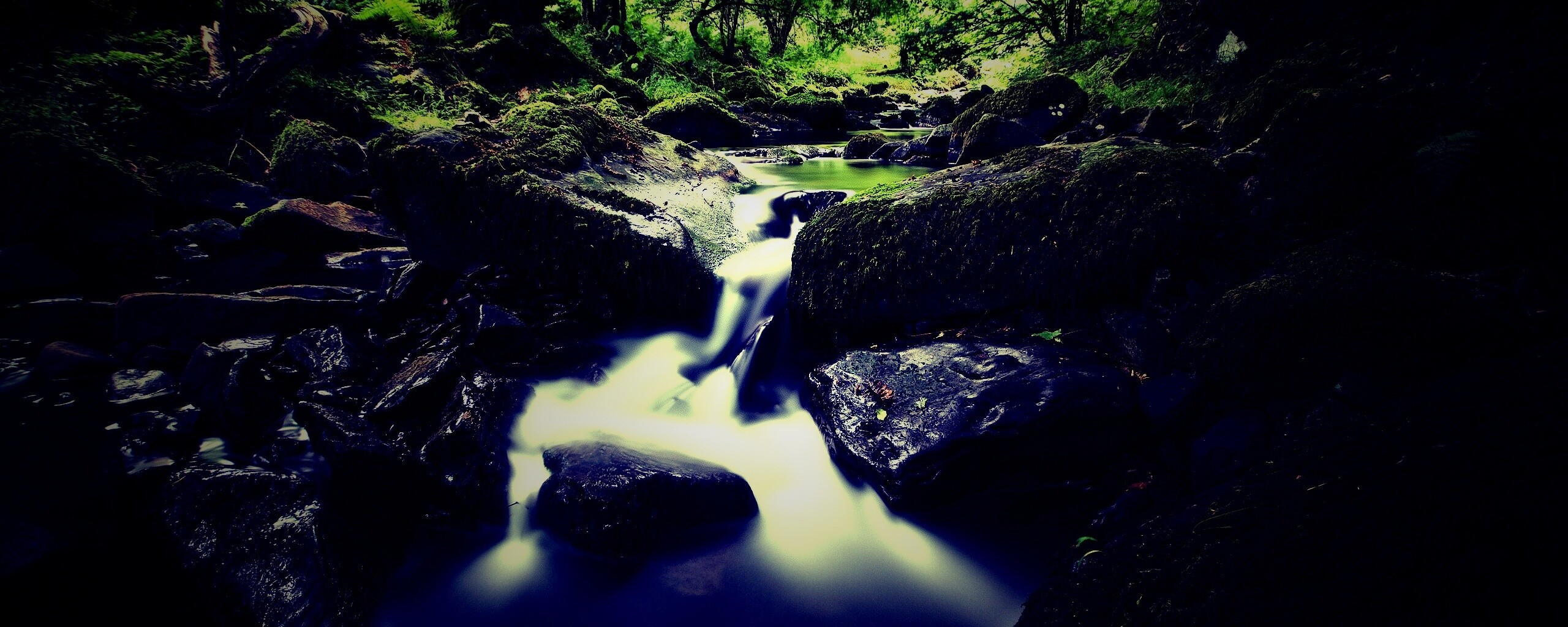 Речной поток в лесу обои