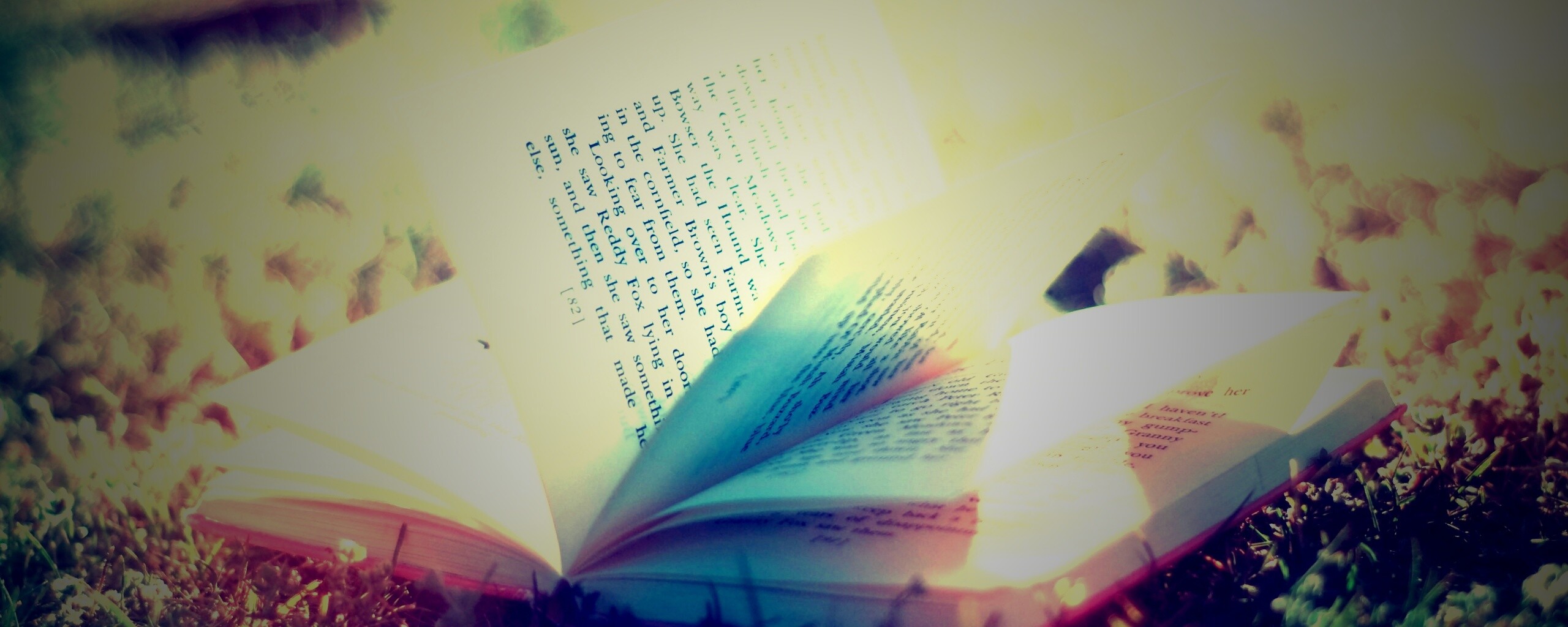 Книга в нежном свете обои