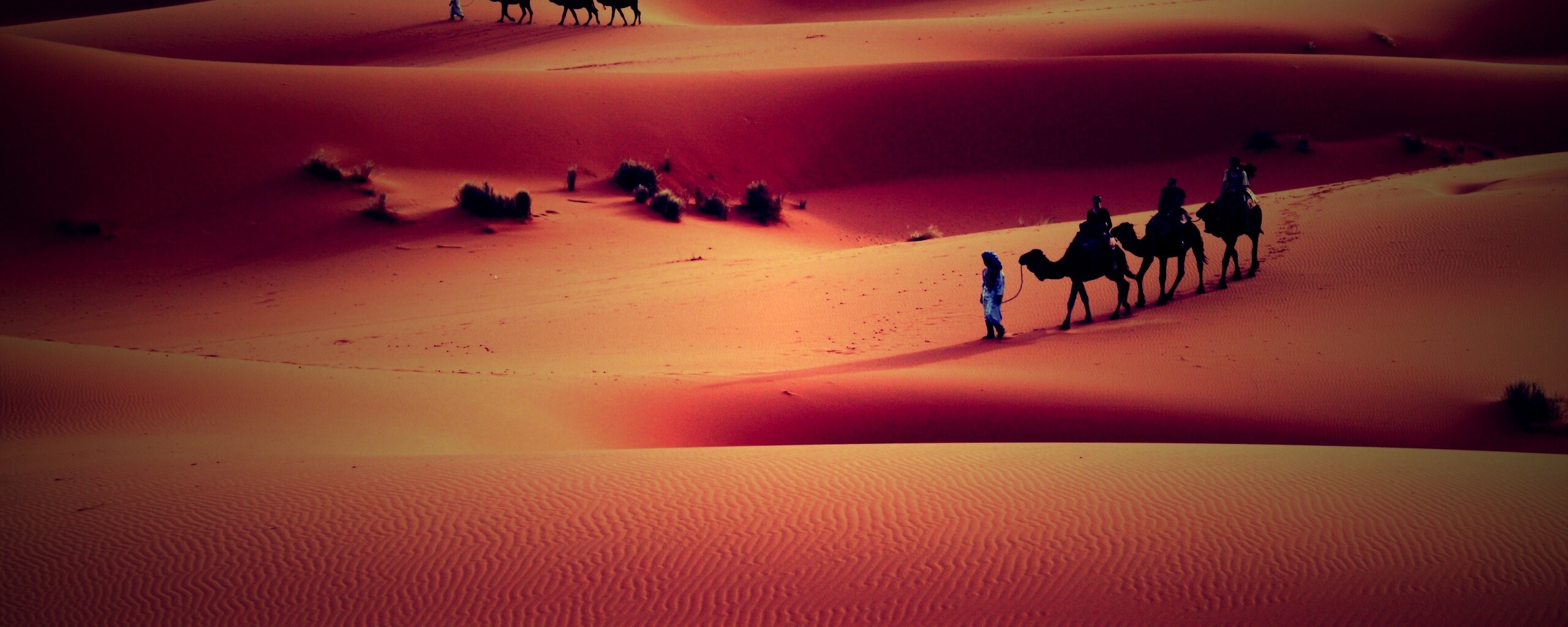Караваны пустыни обои