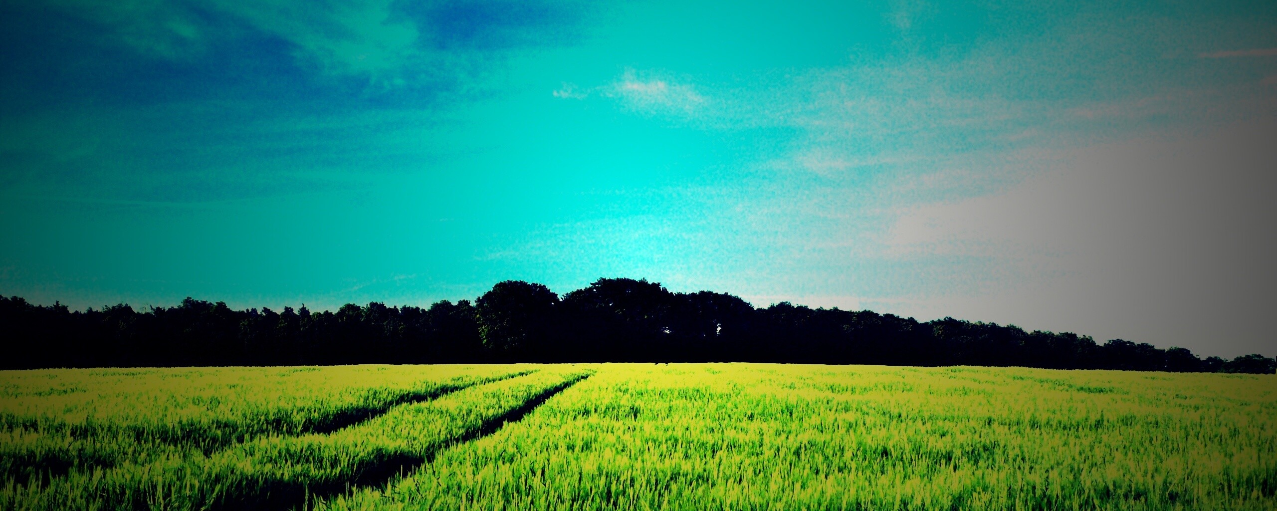 Следы колеи в поле обои
