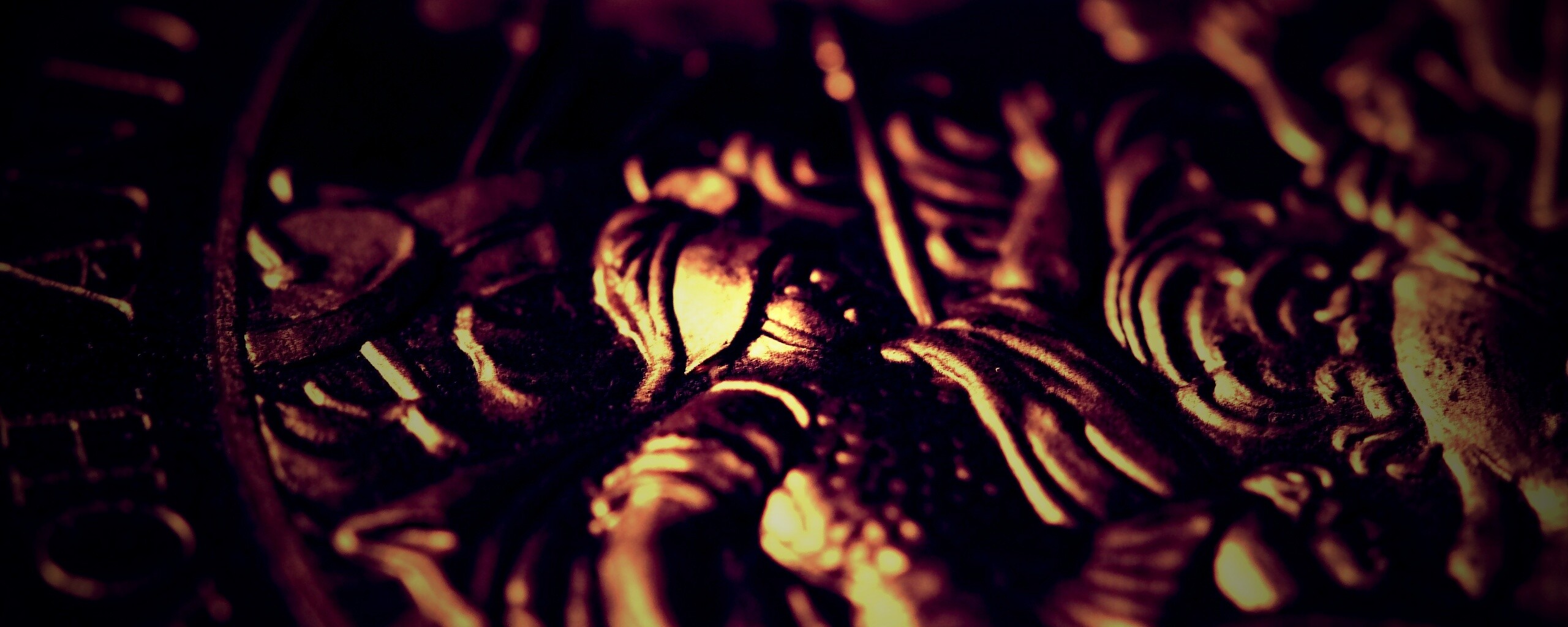 Монета в макро обои