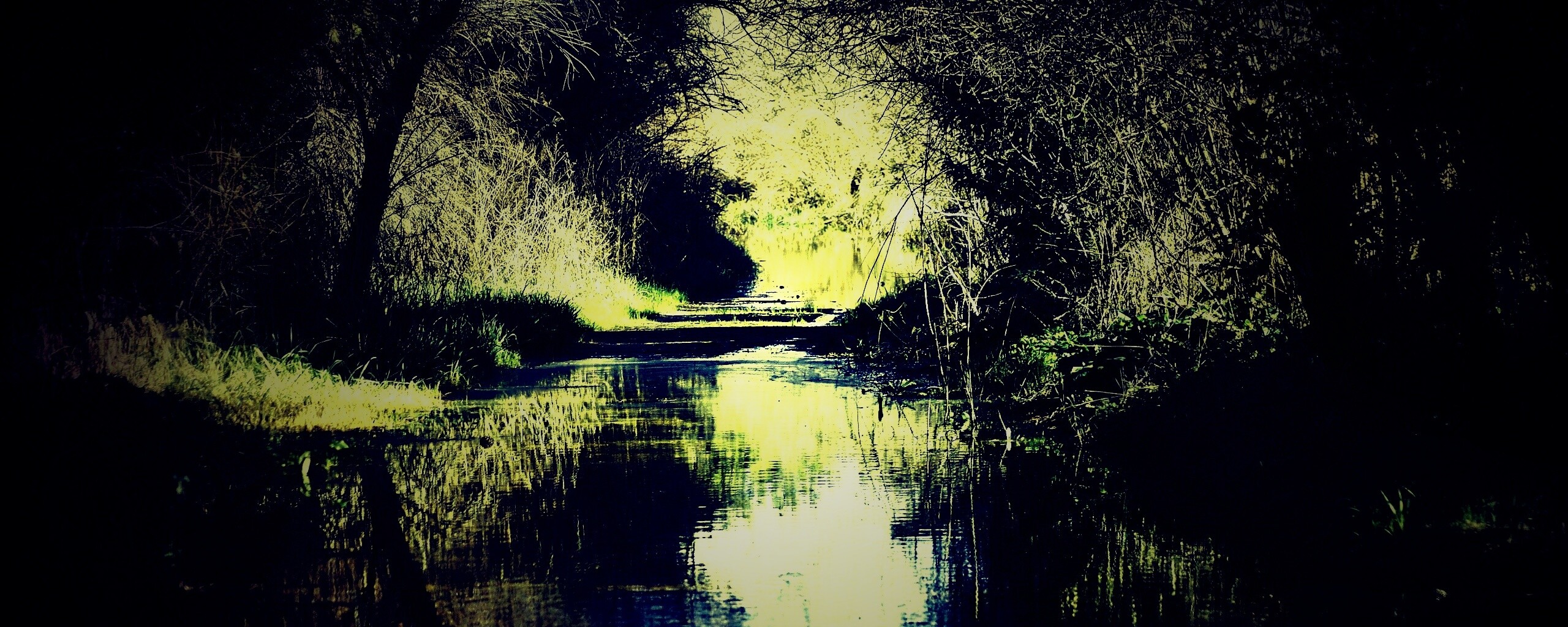 Лесная заросшая река обои