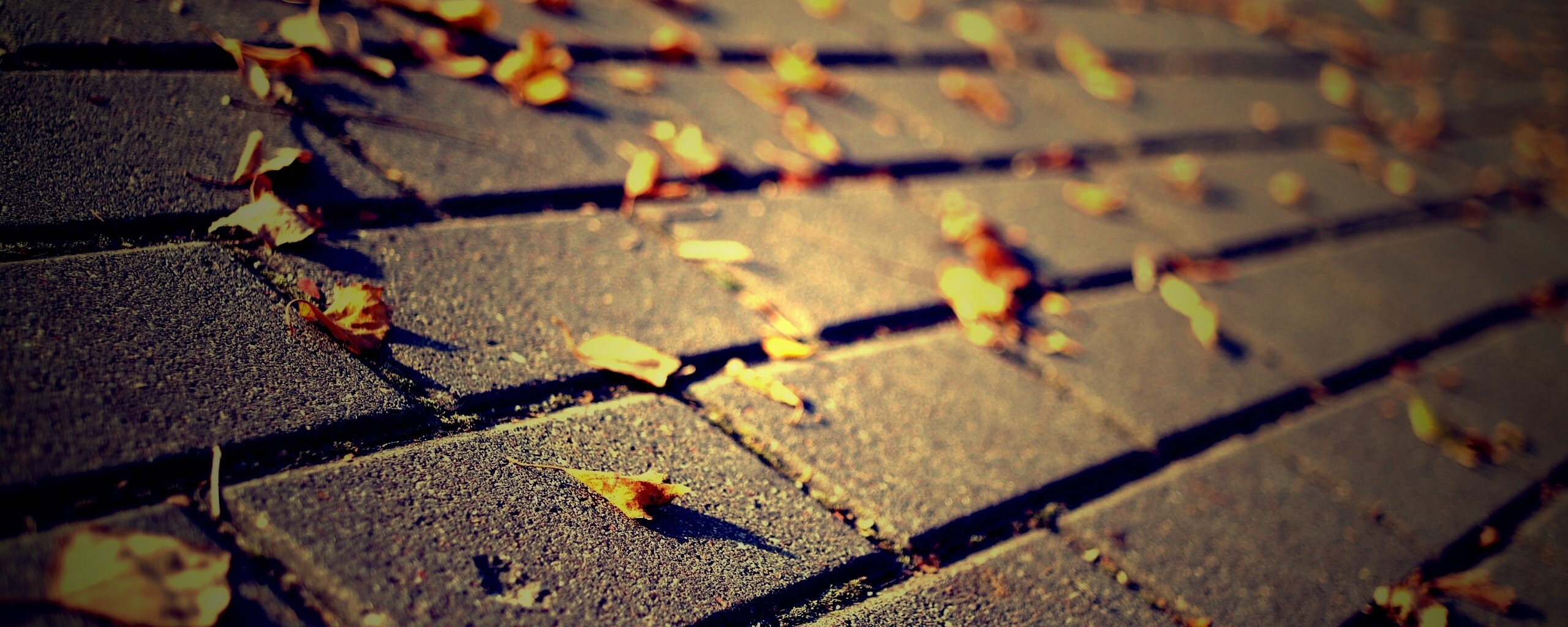 Тротуар обои