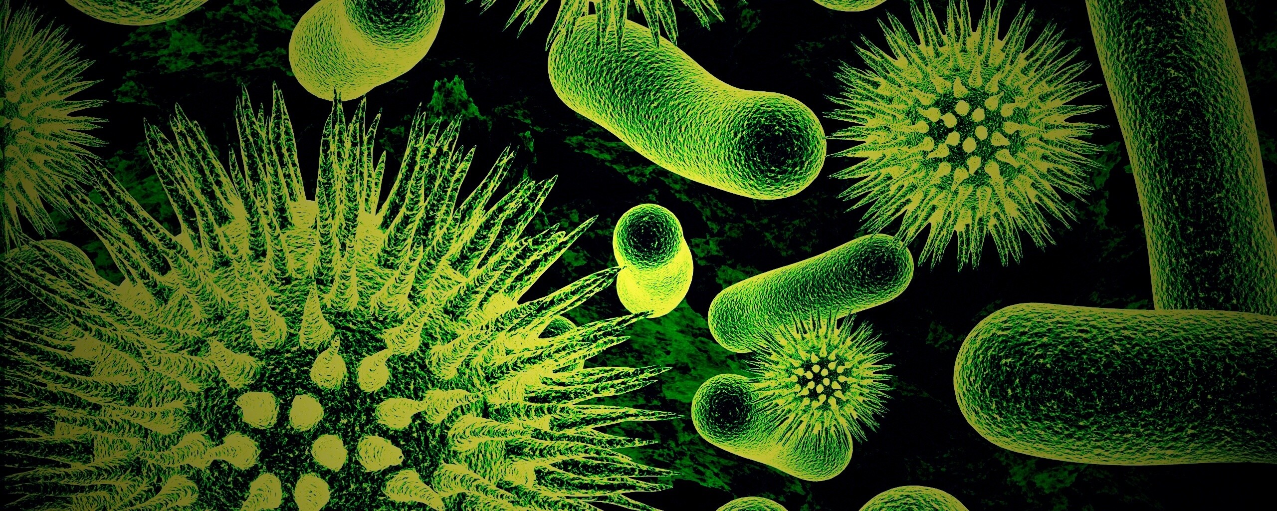 Бактерии обои