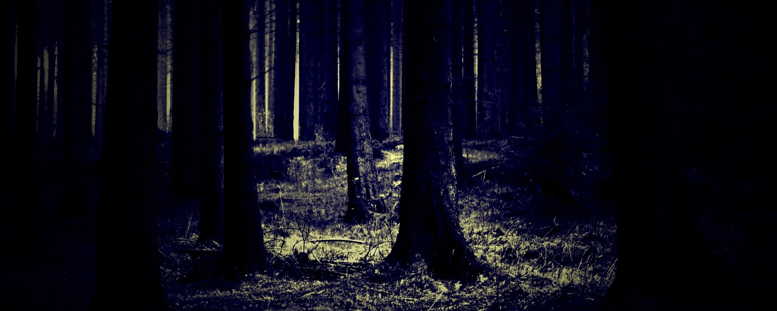 Темный лес обои