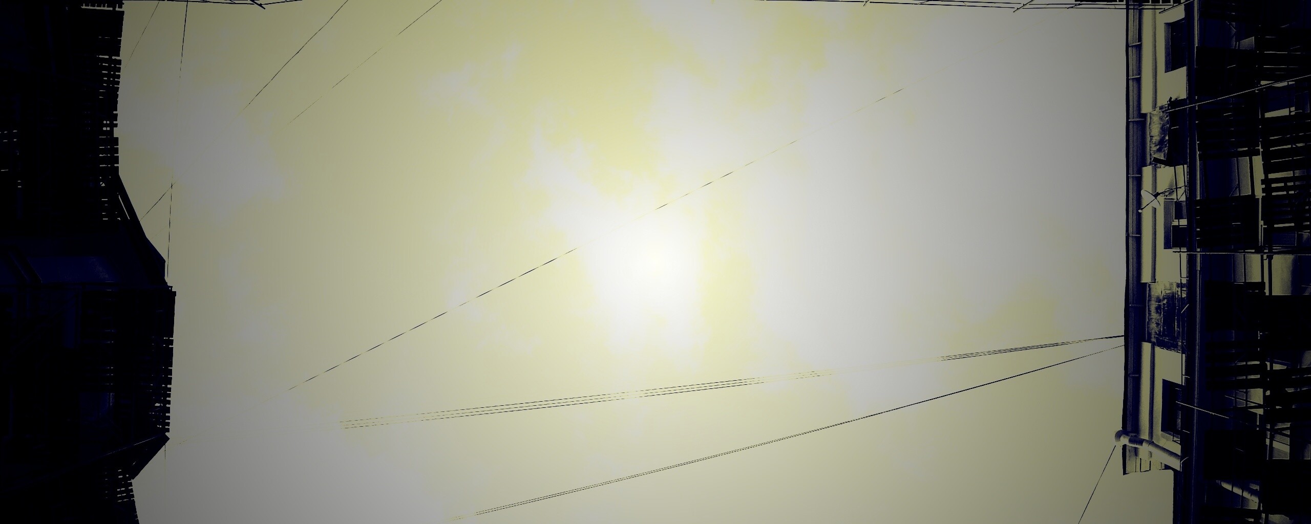 Человеческий муравейник обои