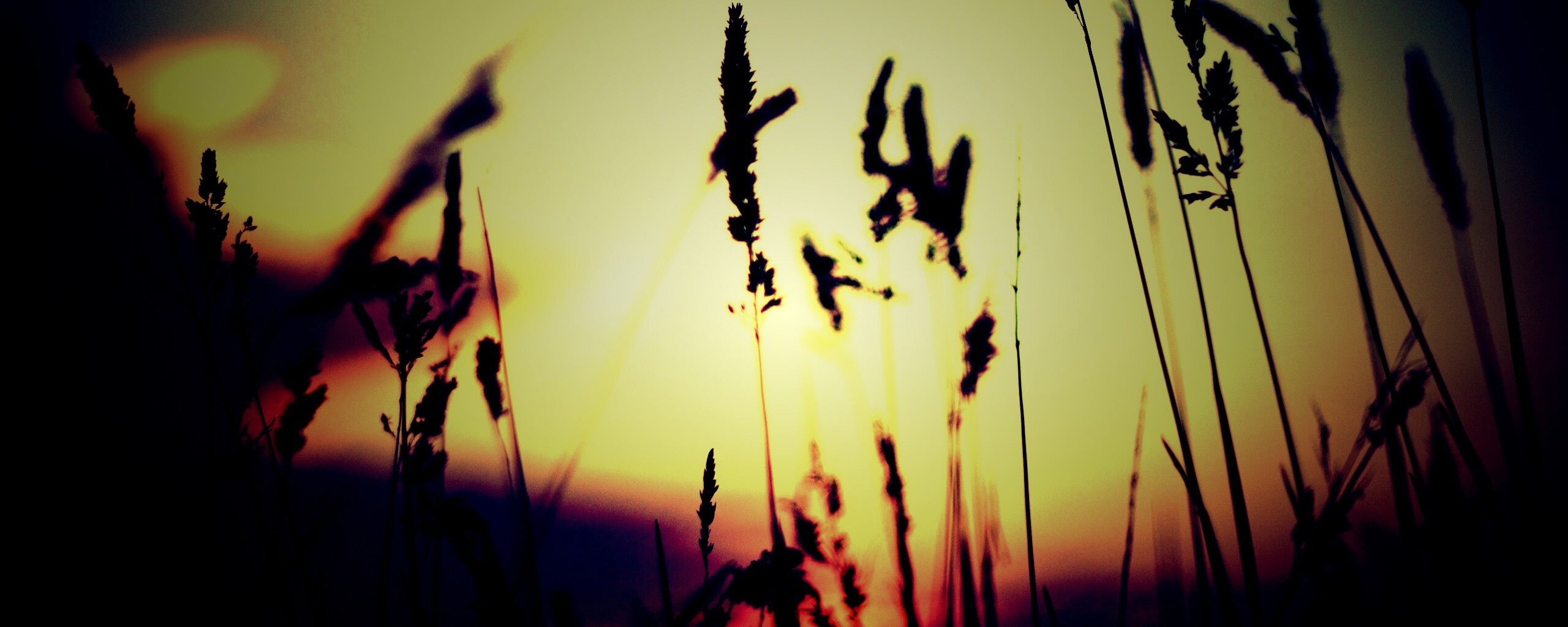 Дыхание природы обои