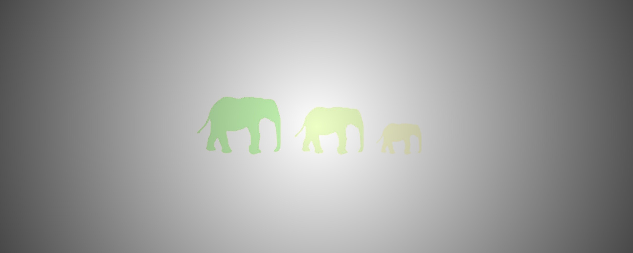 Вереница слонов обои