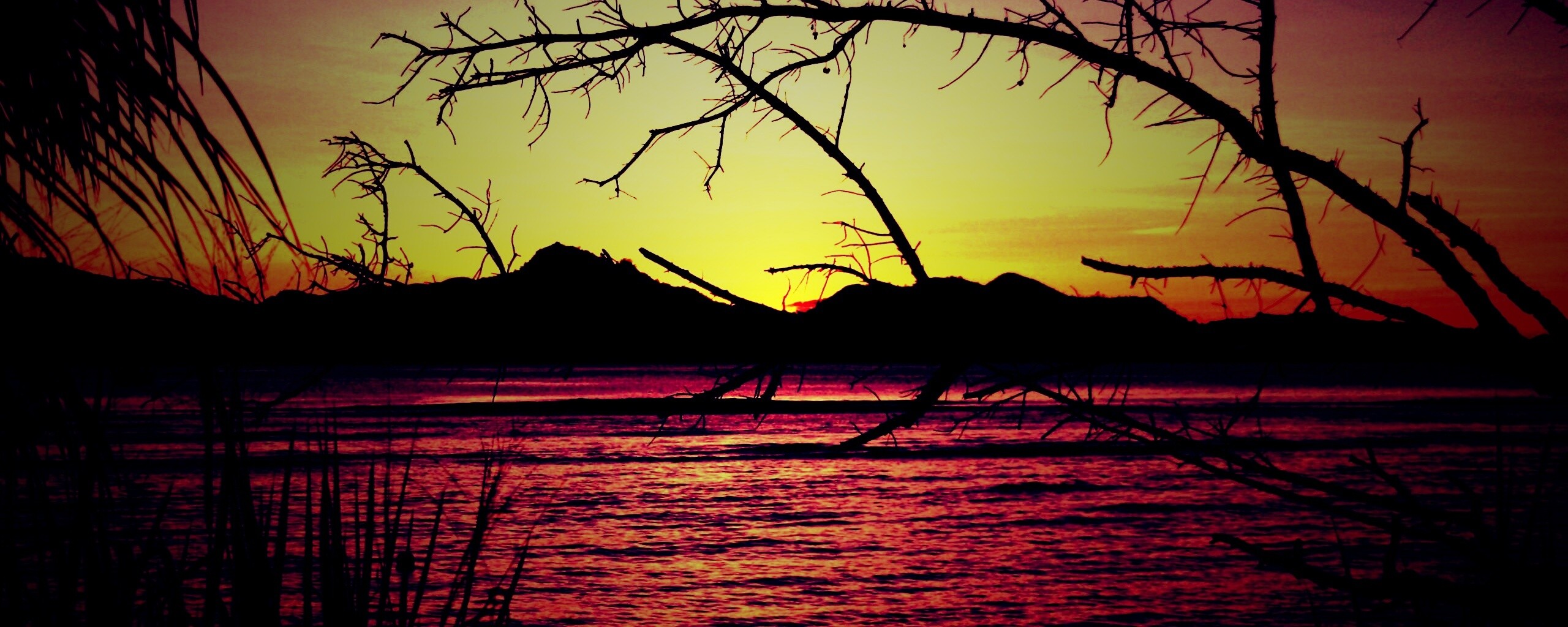 Тропический закат обои