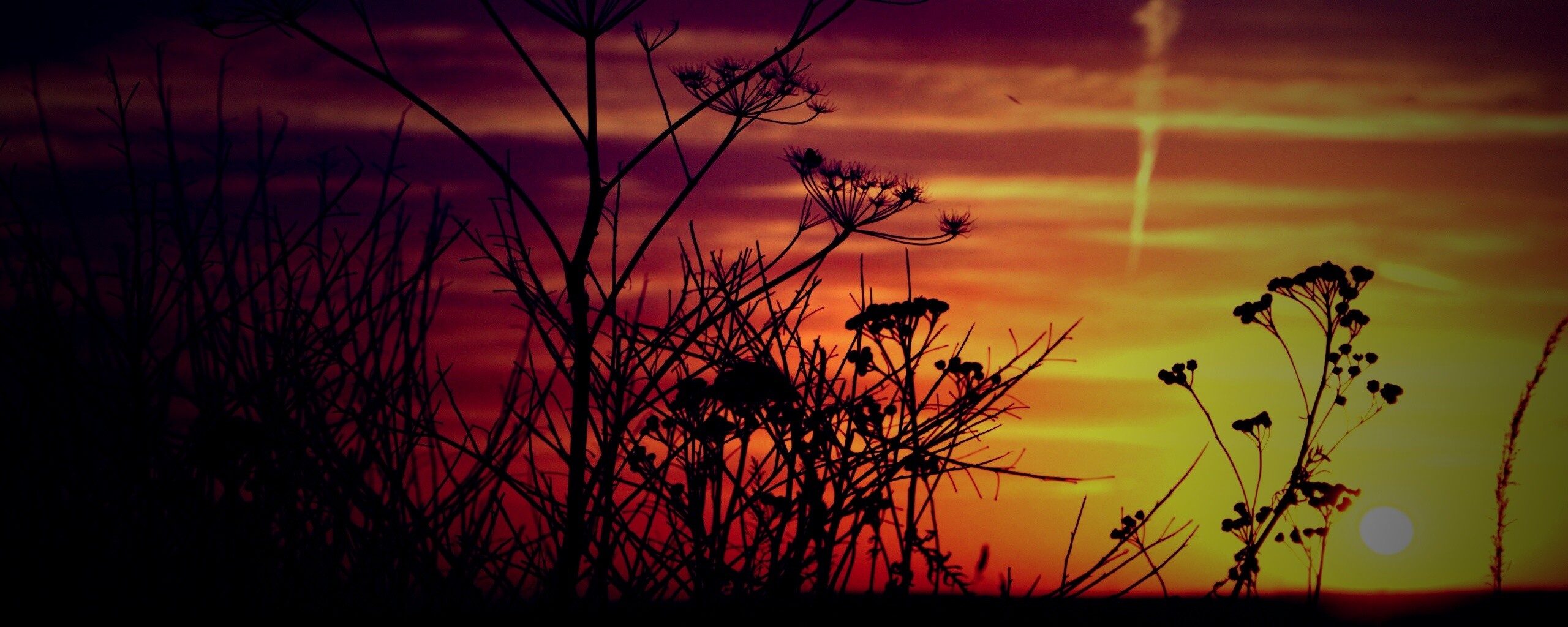 Степной закат обои