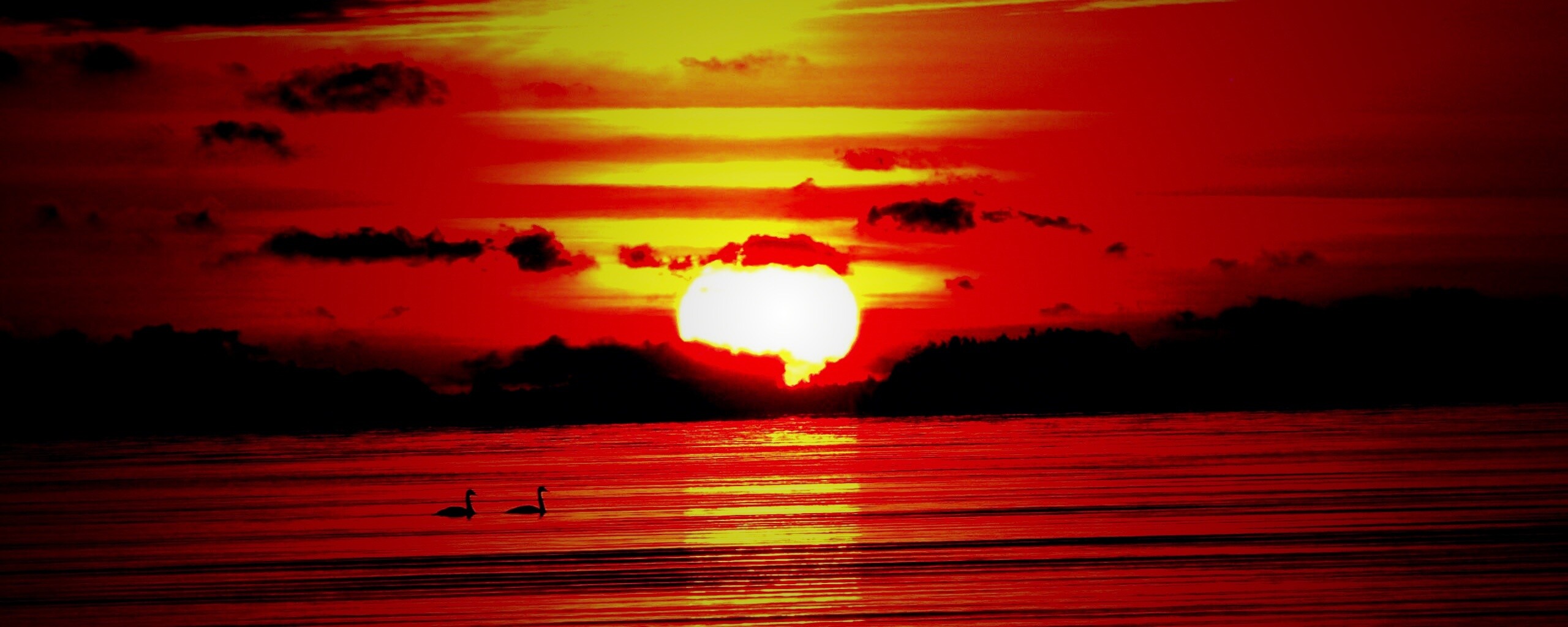 Великолепный рассвет обои