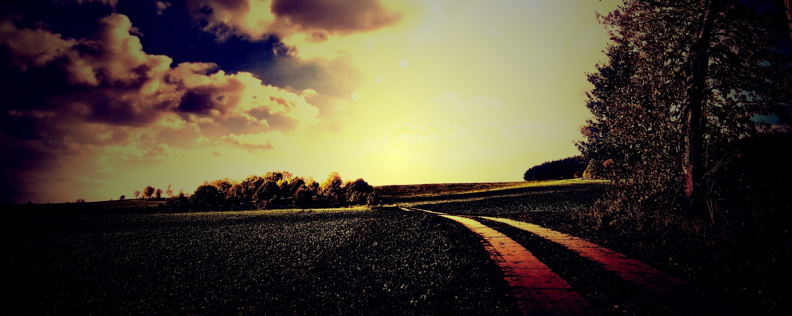 Солнечные холмы обои